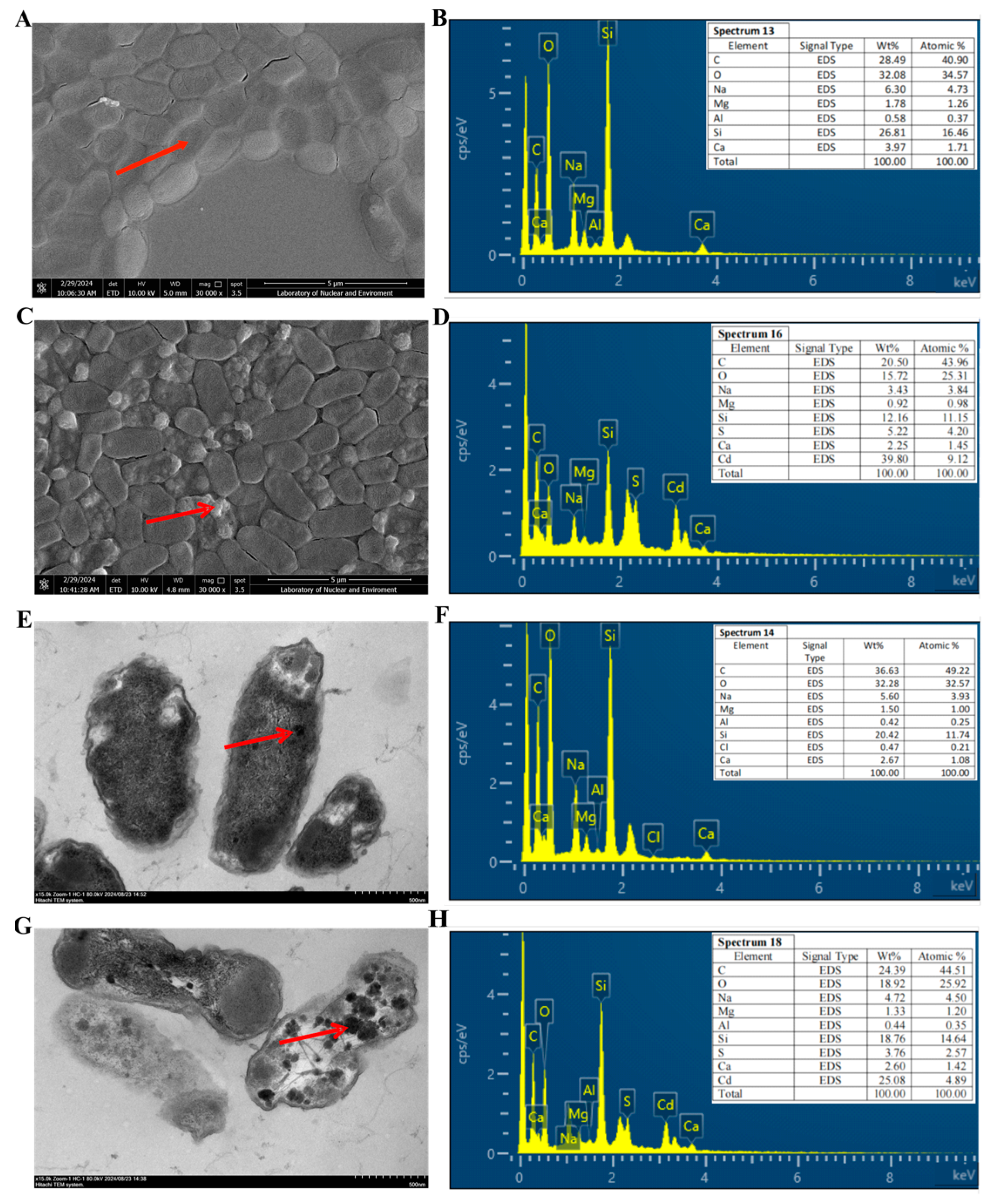 Microorganisms 12 02321 g003 Microorganisms 12 02321 g003