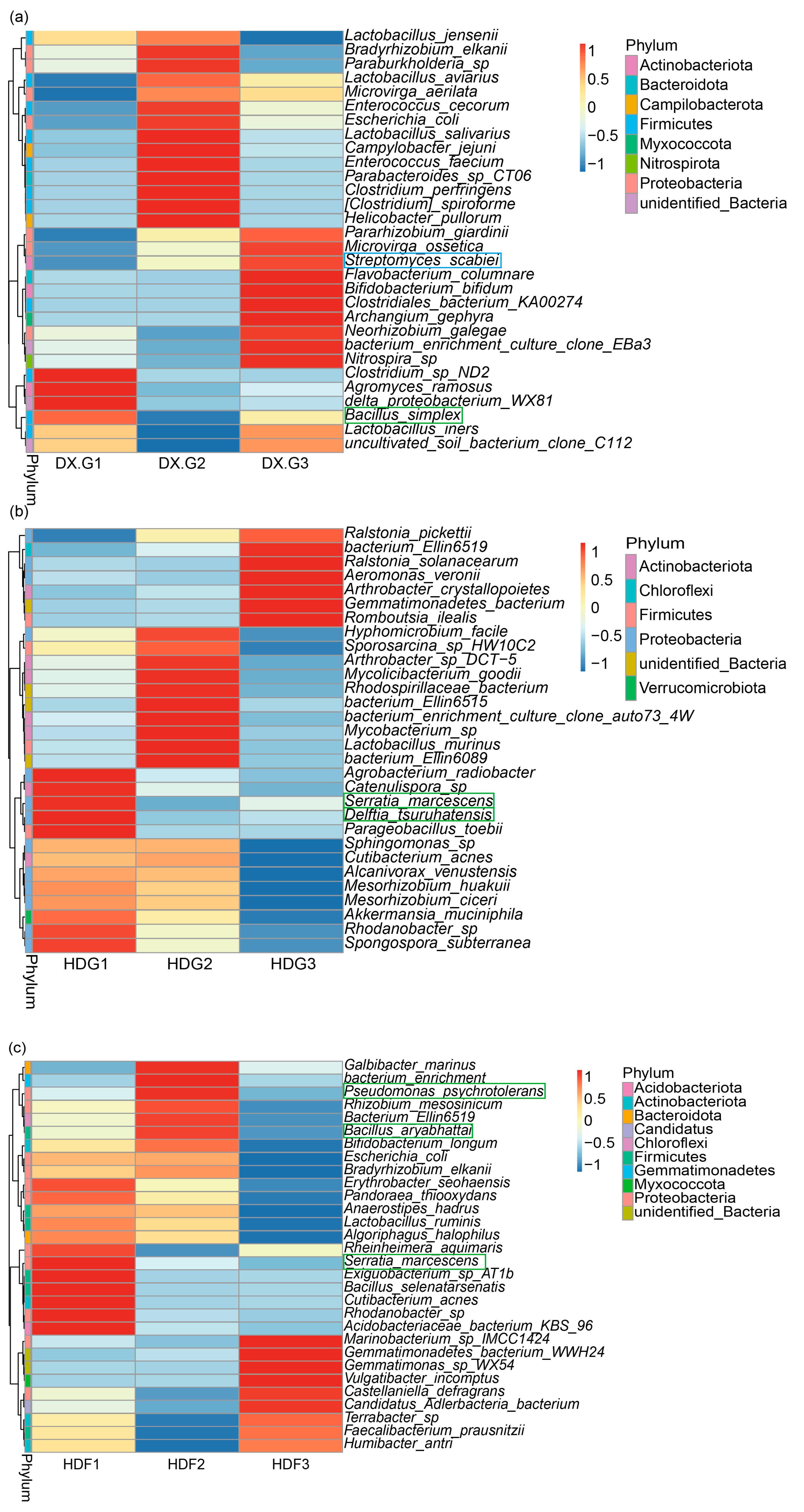 Microorganisms 12 02322 g007