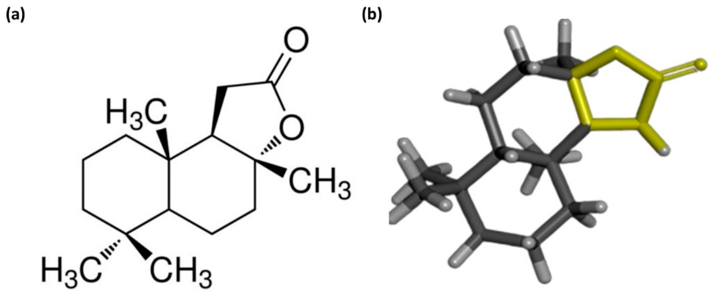 Microorganisms 12 02324 g001