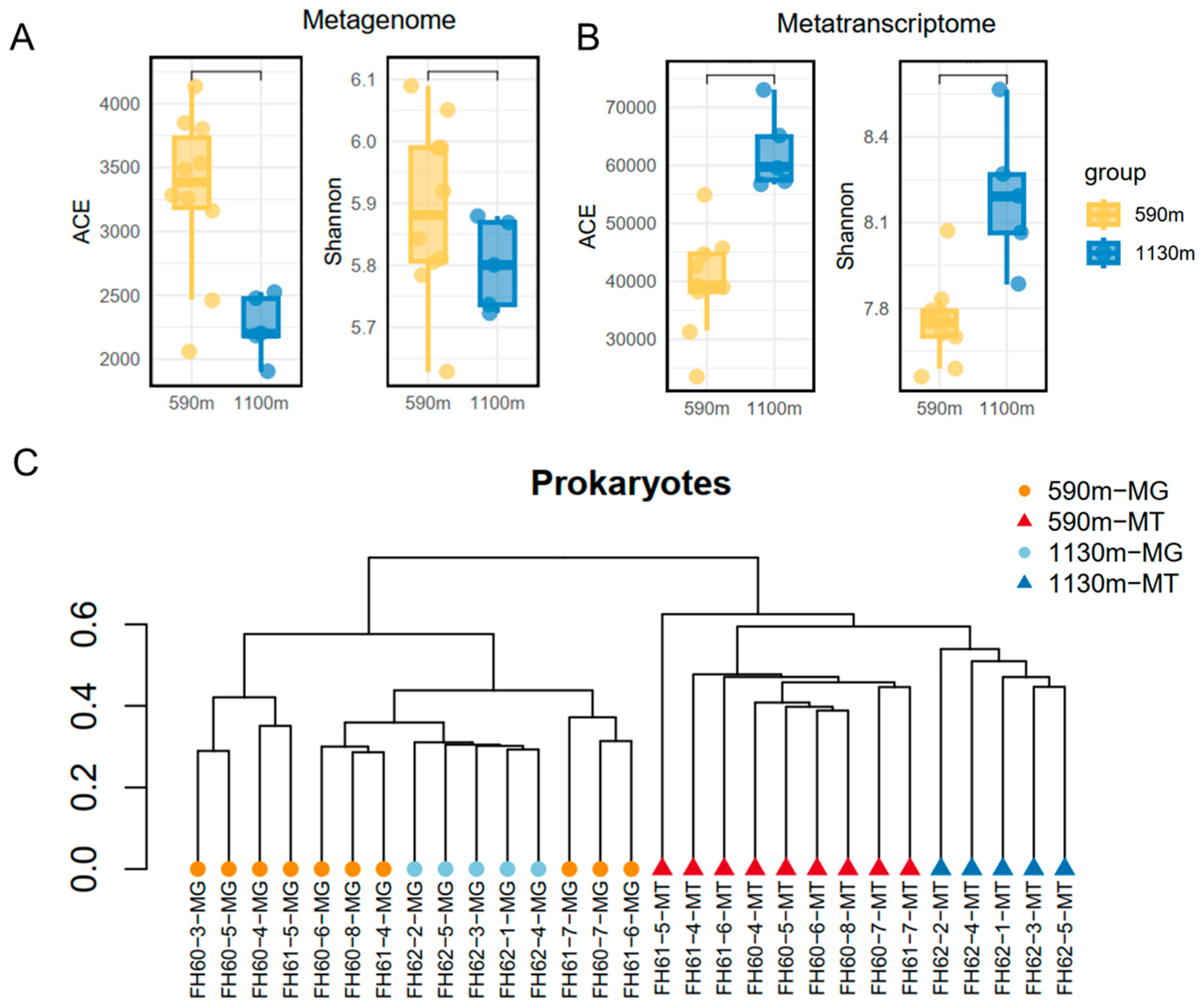 Microorganisms 12 02325 g006