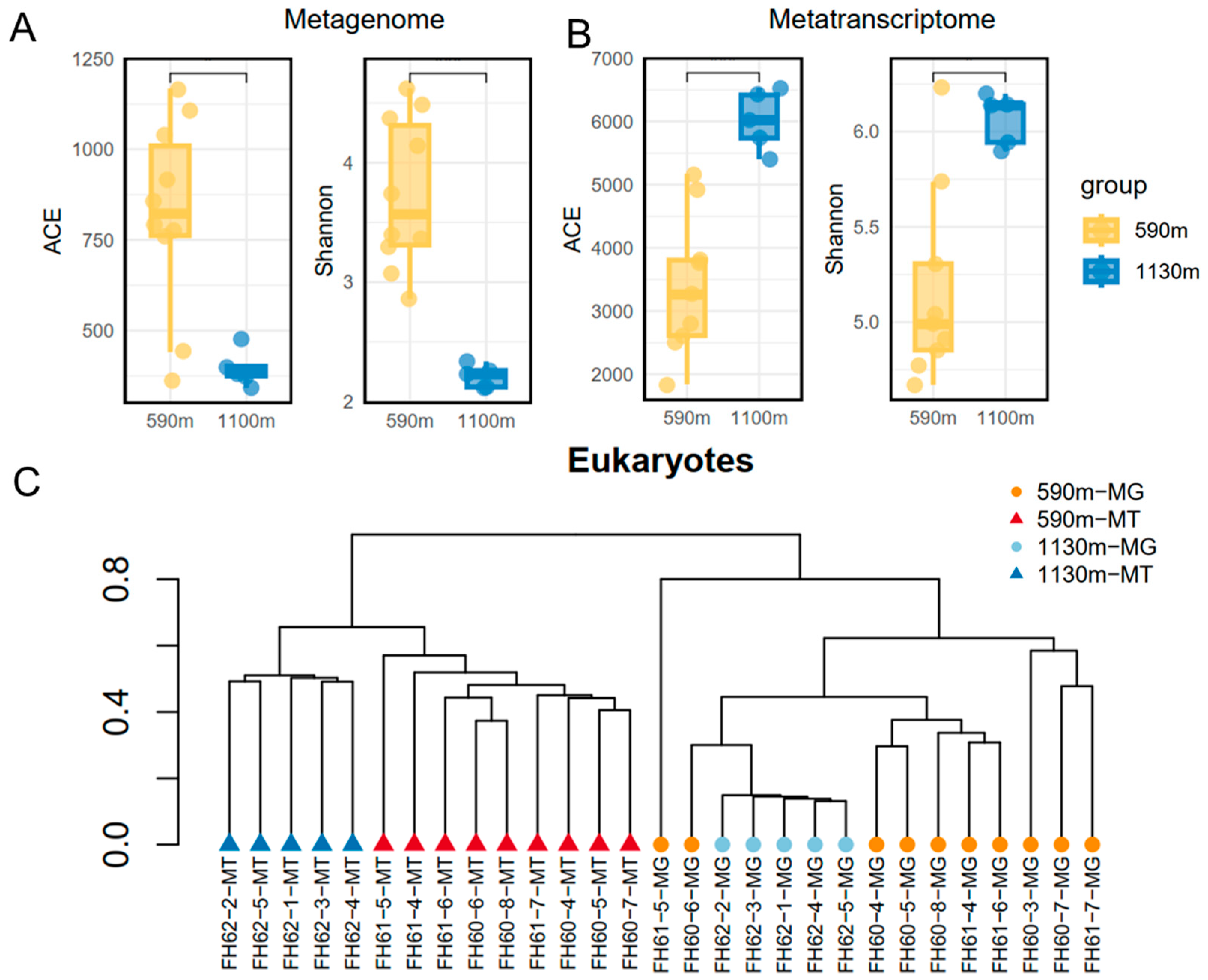Microorganisms 12 02325 g007