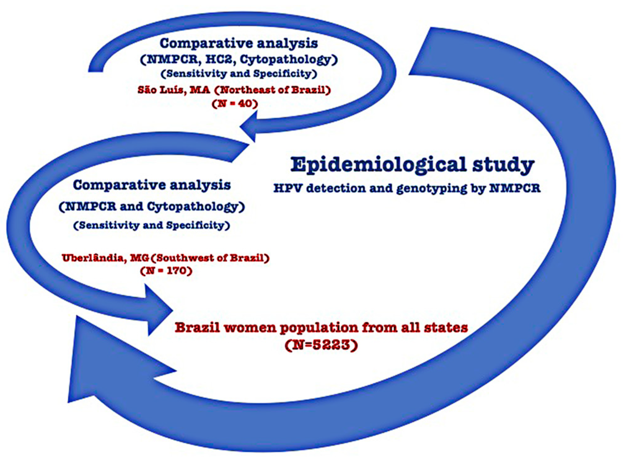 Microorganisms 12 02326 g002