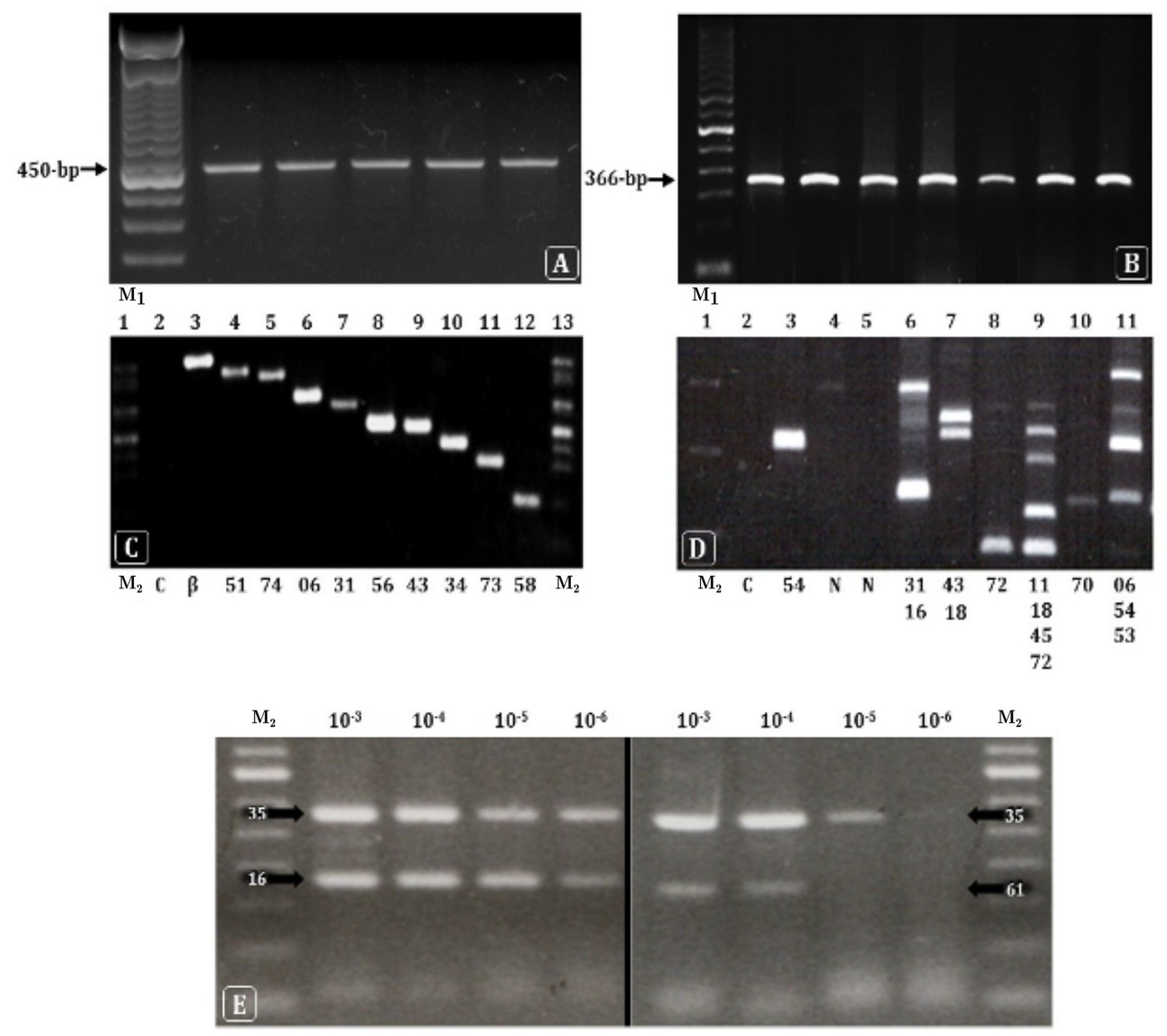 Microorganisms 12 02326 g003