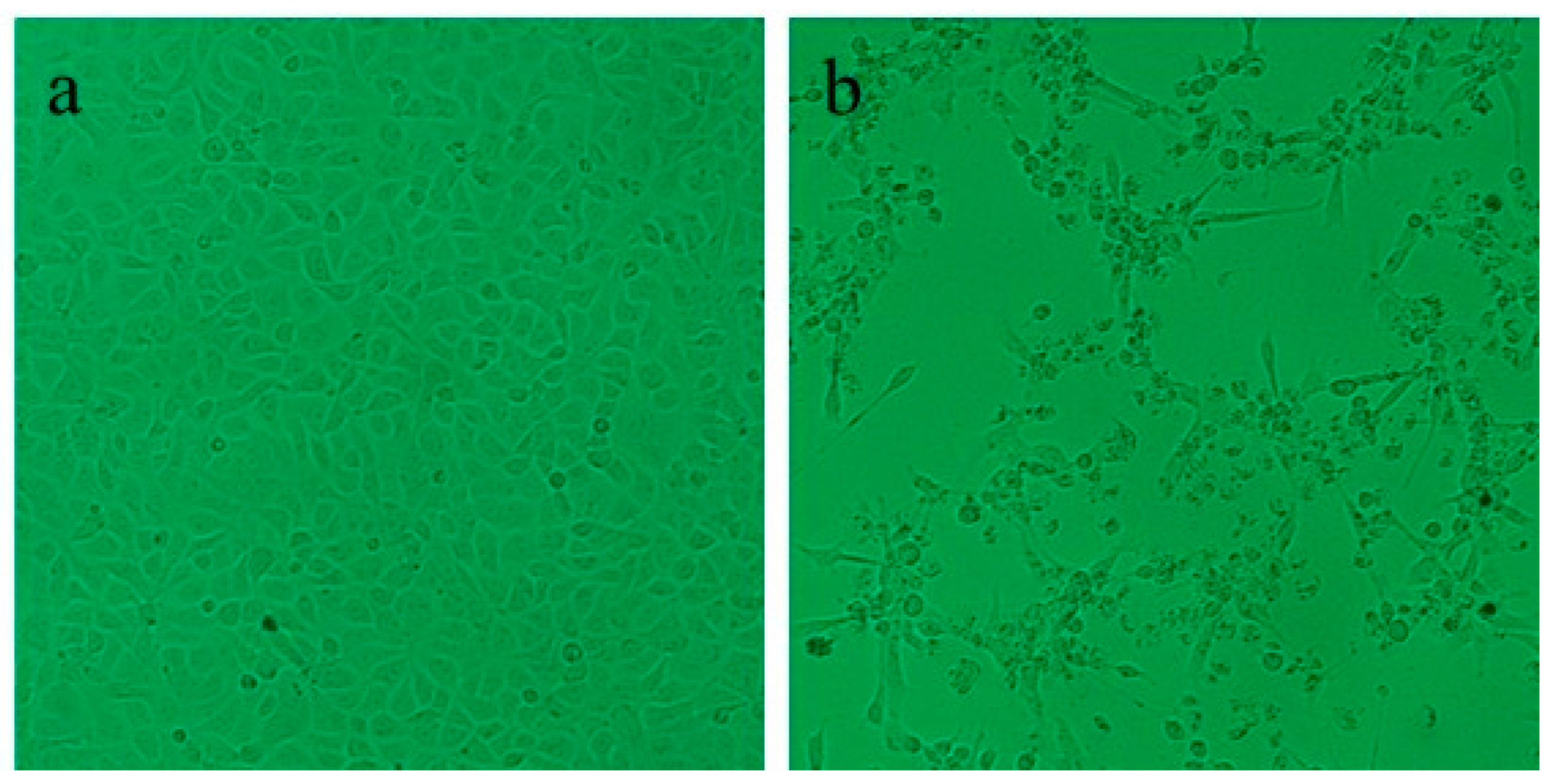 Microorganisms 12 02329 g004 Microorganisms 12 02329 g004