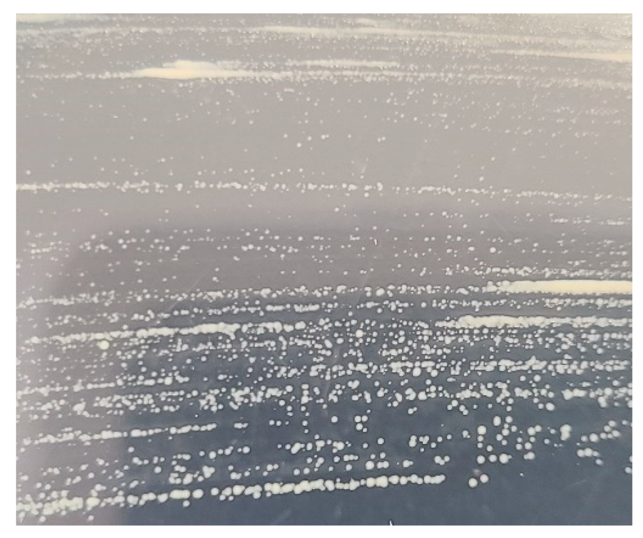 Microorganisms 12 02329 g005 Microorganisms 12 02329 g005