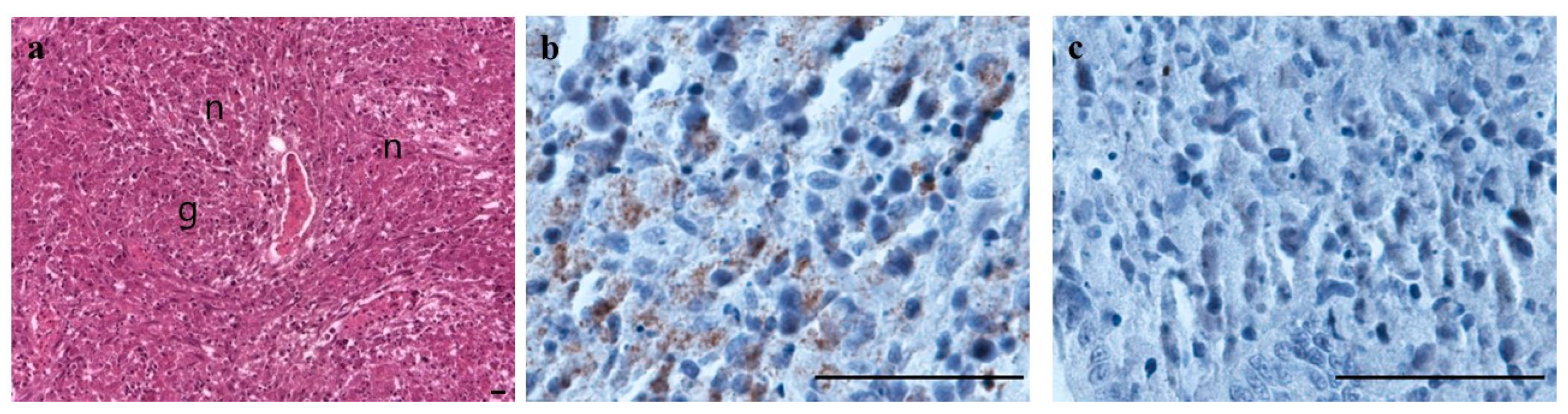 Microorganisms 12 02329 g007 Microorganisms 12 02329 g007