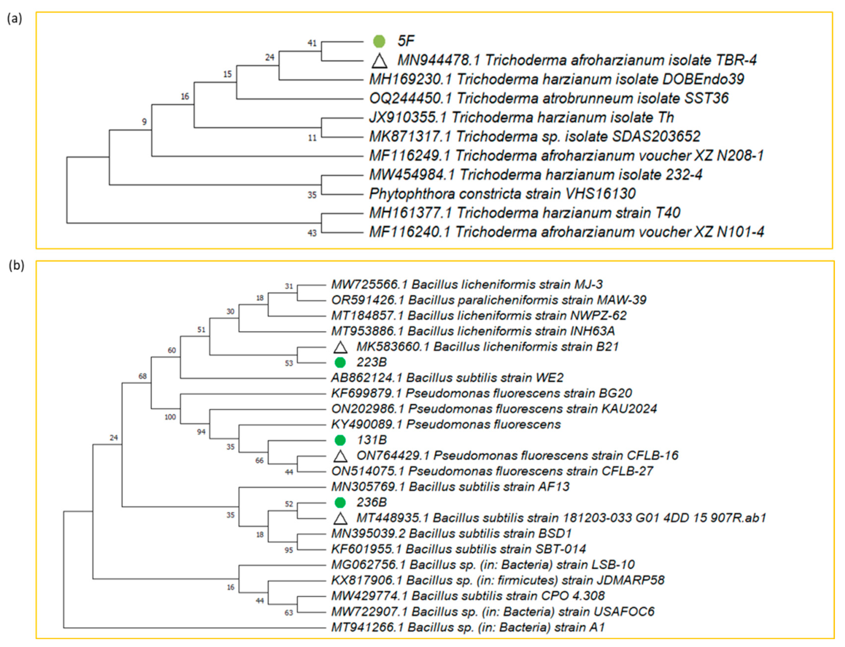 Microorganisms 12 02331 g007
