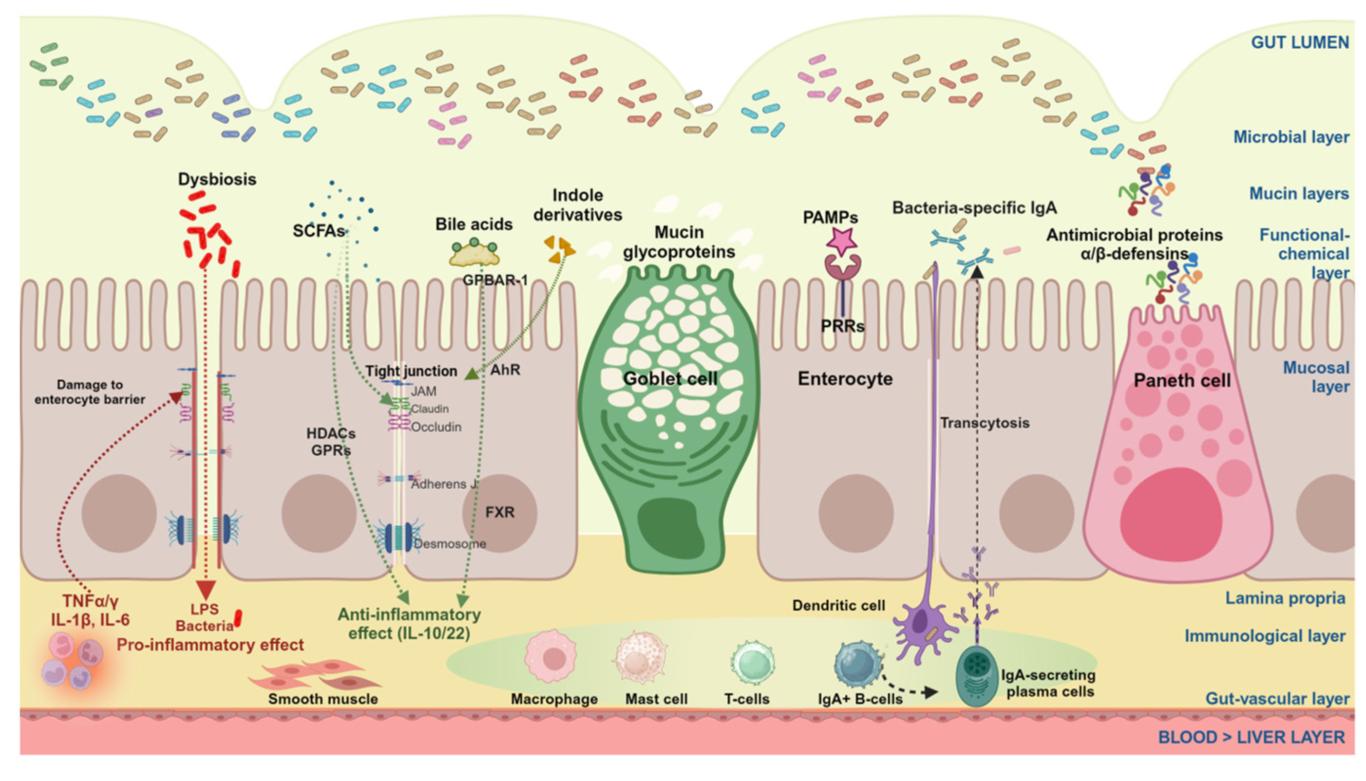 Microorganisms 12 02333 g005 Microorganisms 12 02333 g005