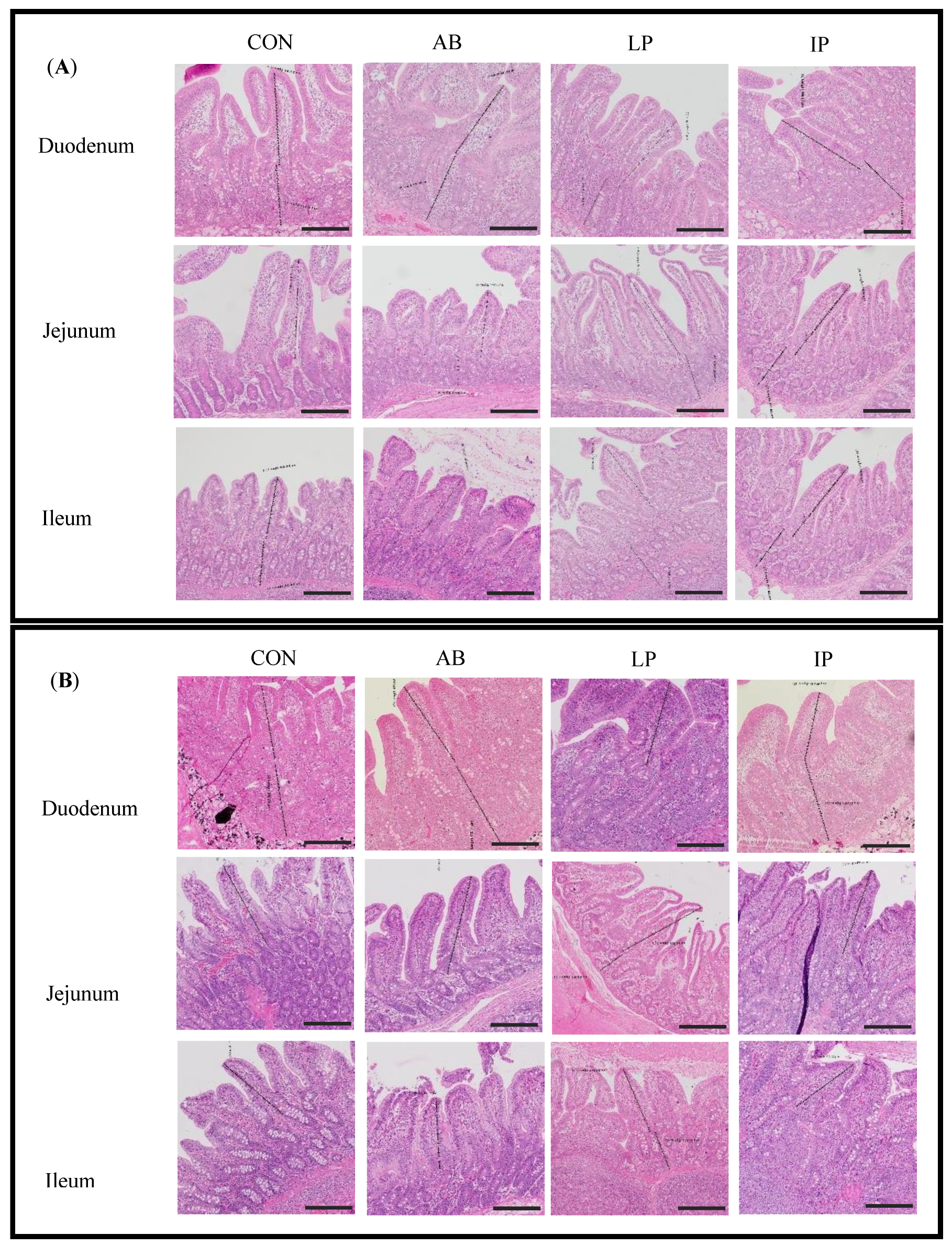 Microorganisms 12 02334 g001
