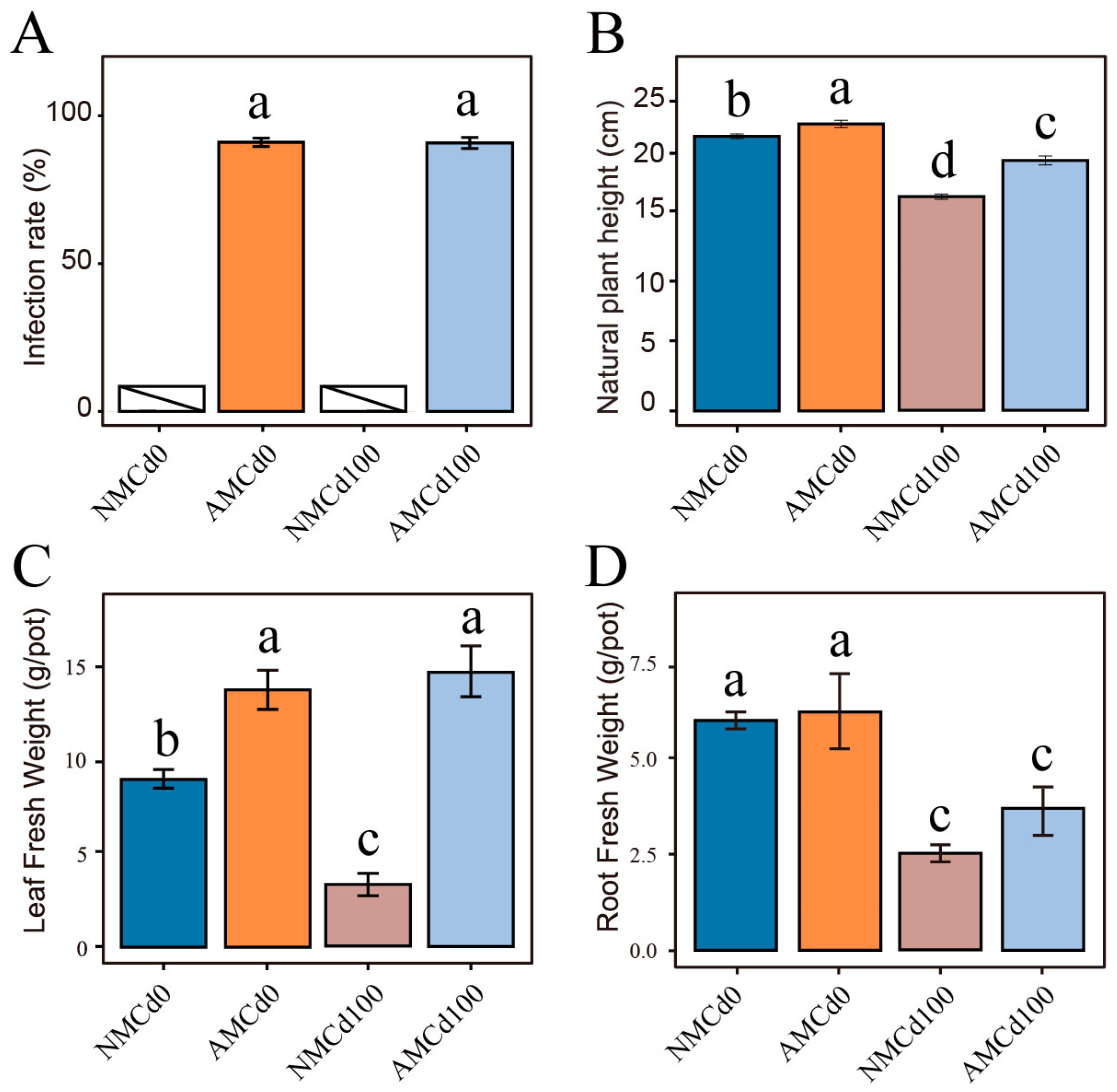 Microorganisms 12 02335 g001