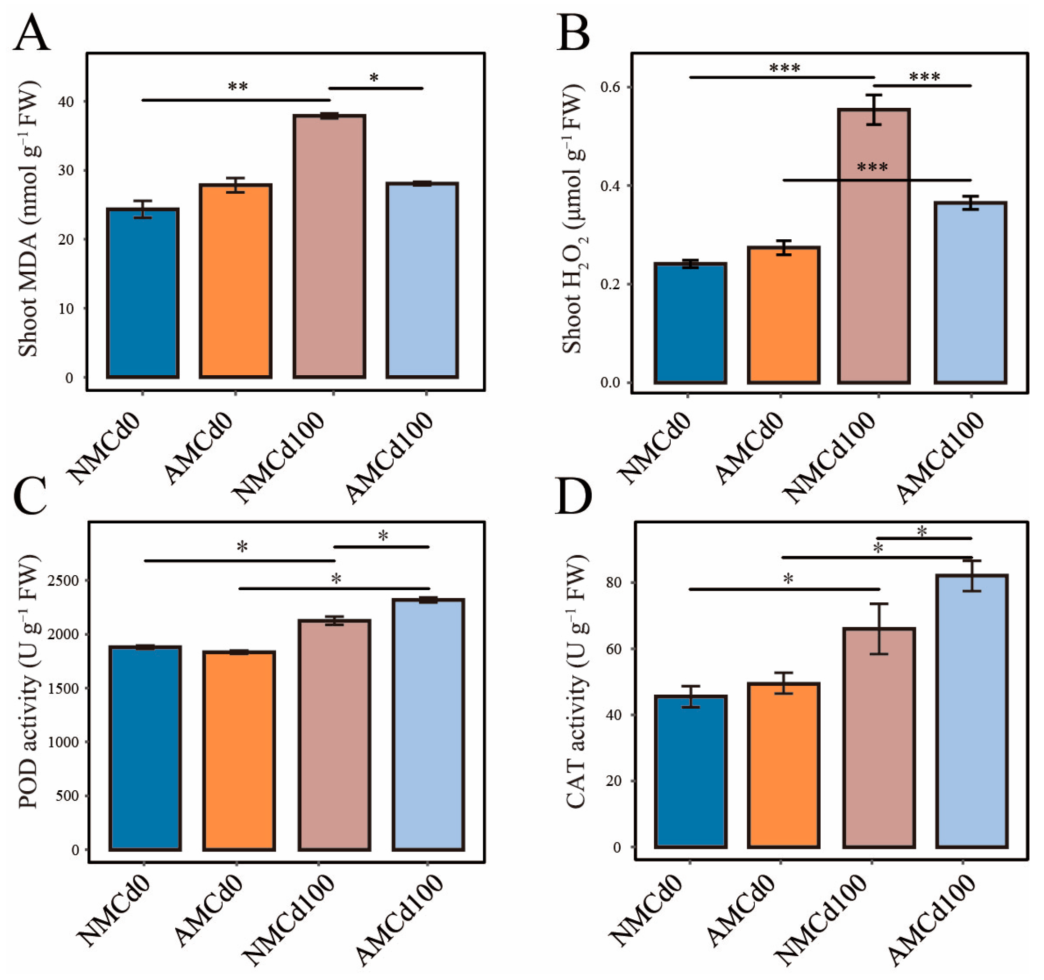 Microorganisms 12 02335 g003