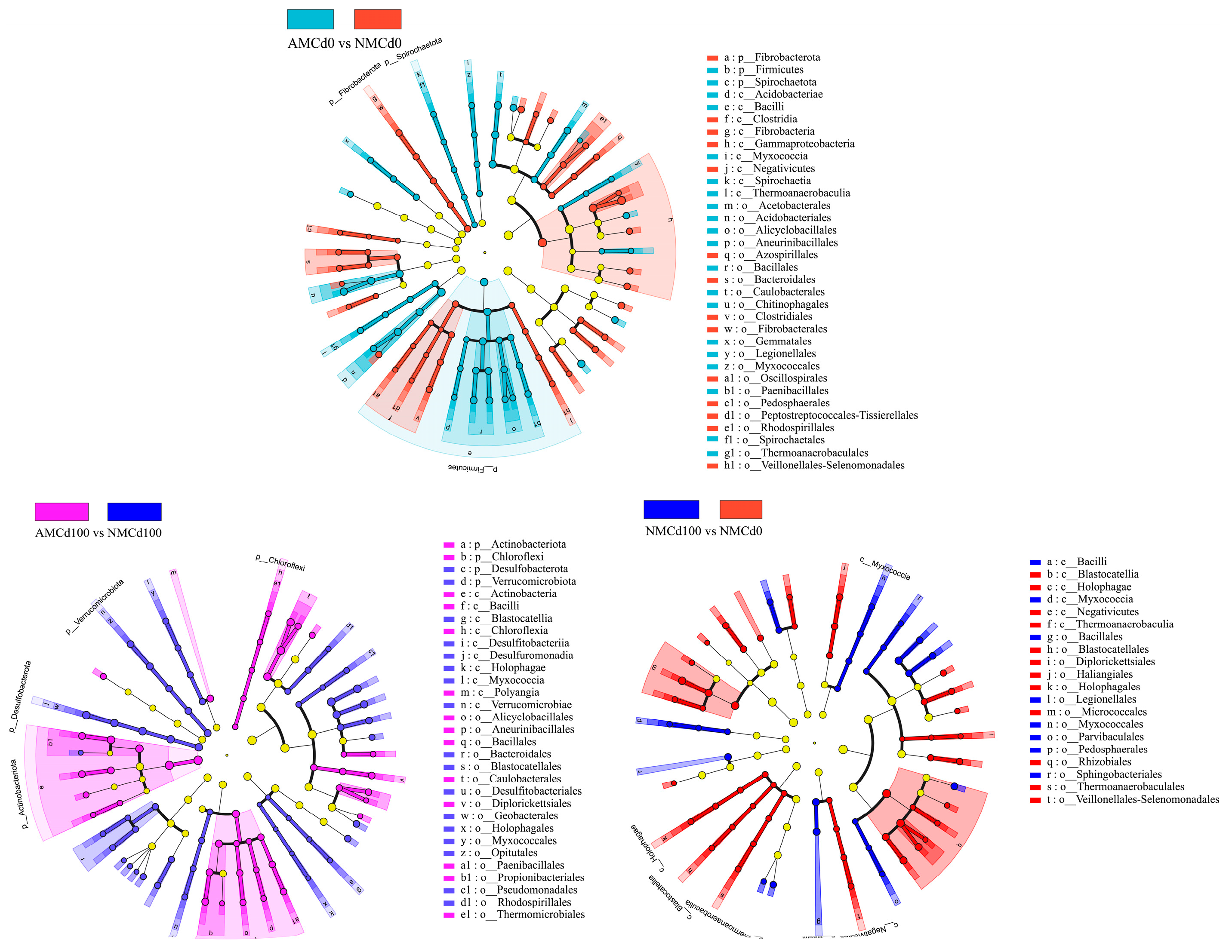 Microorganisms 12 02335 g007