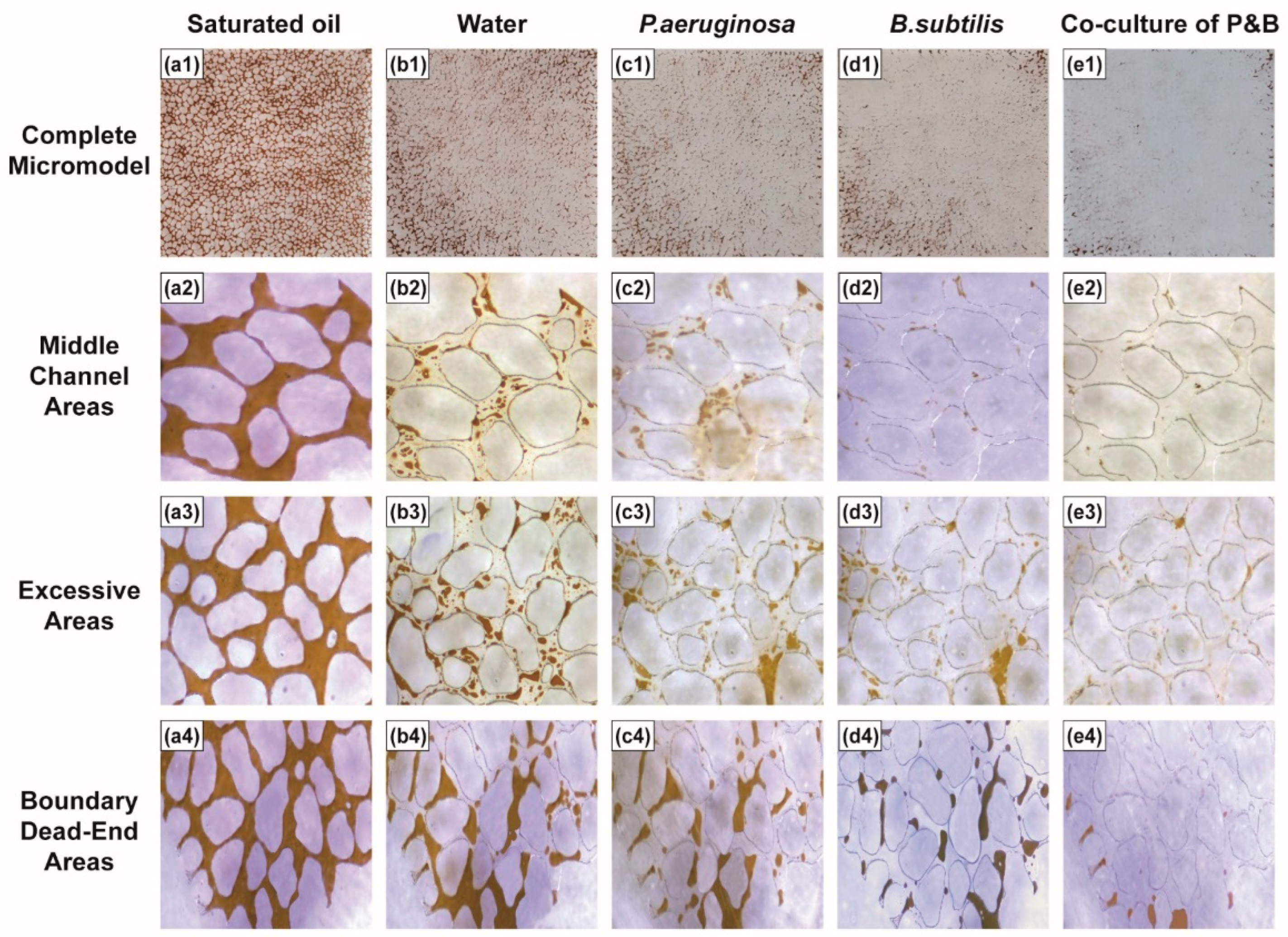 Microorganisms 12 02343 g004