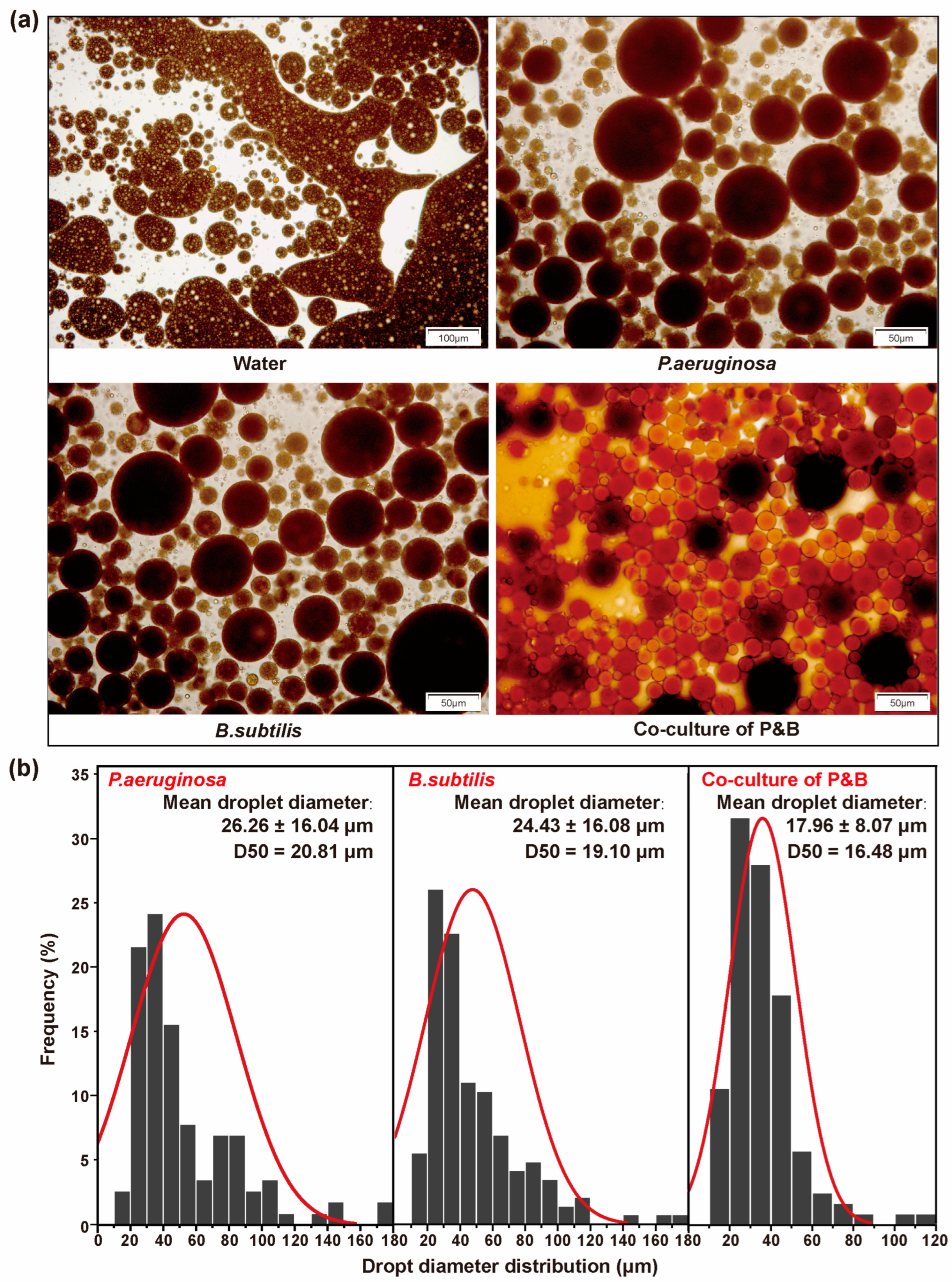 Microorganisms 12 02343 g005