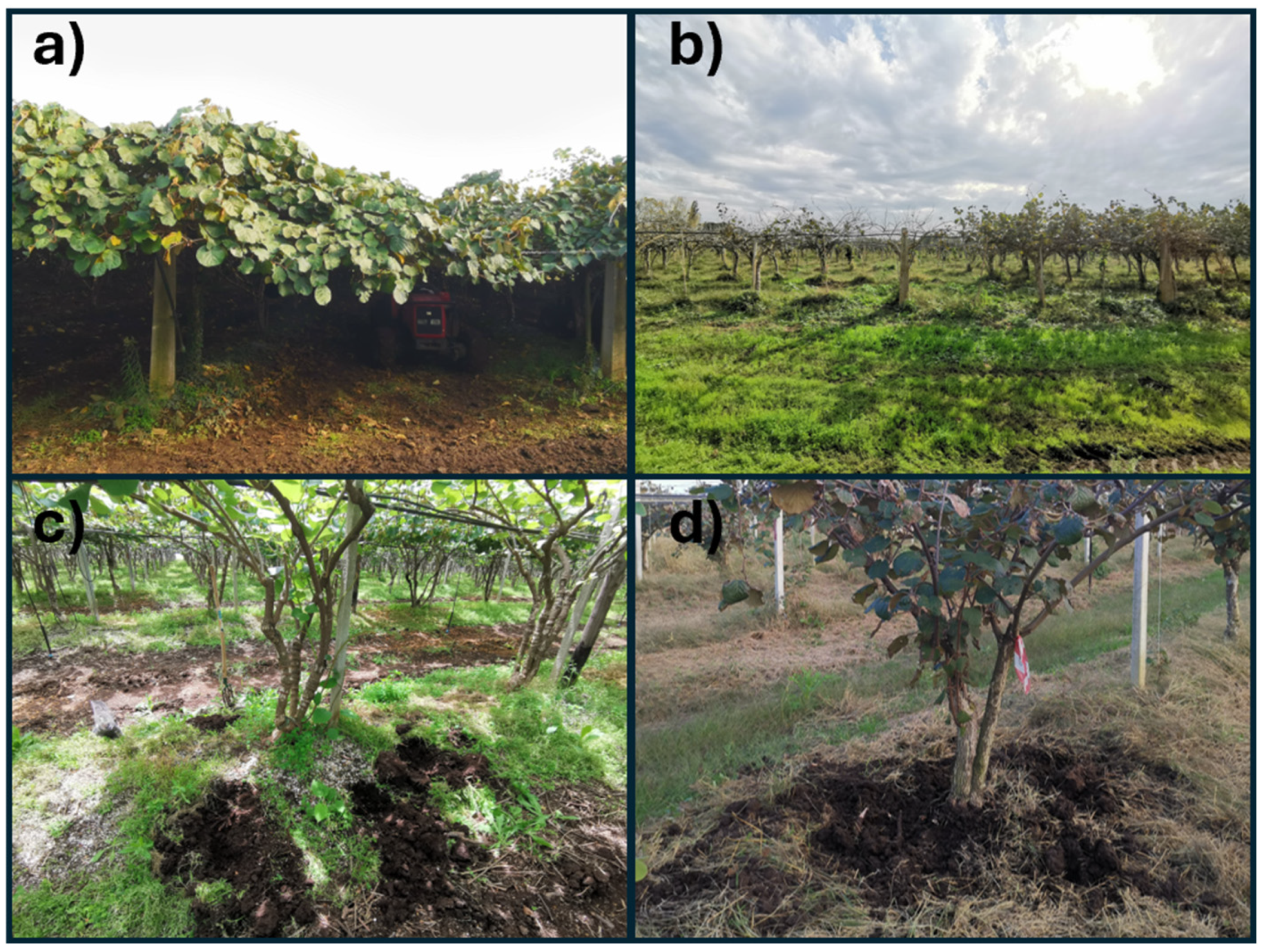 Microorganisms 12 02347 g001