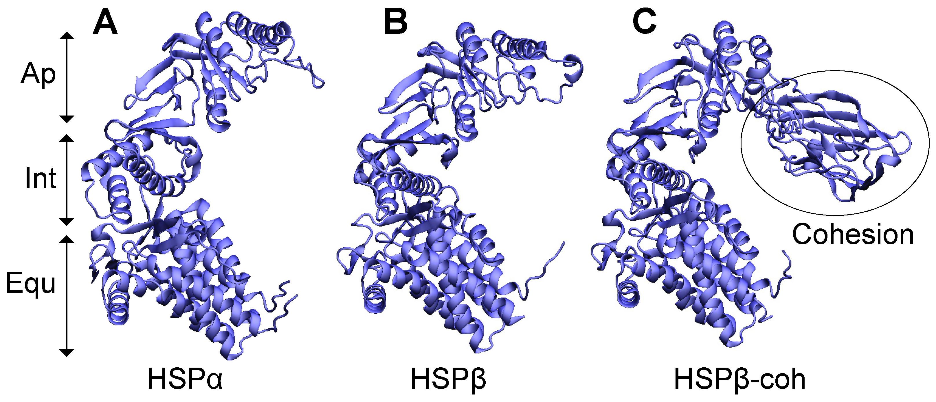 Microorganisms 12 02348 g001 Microorganisms 12 02348 g001