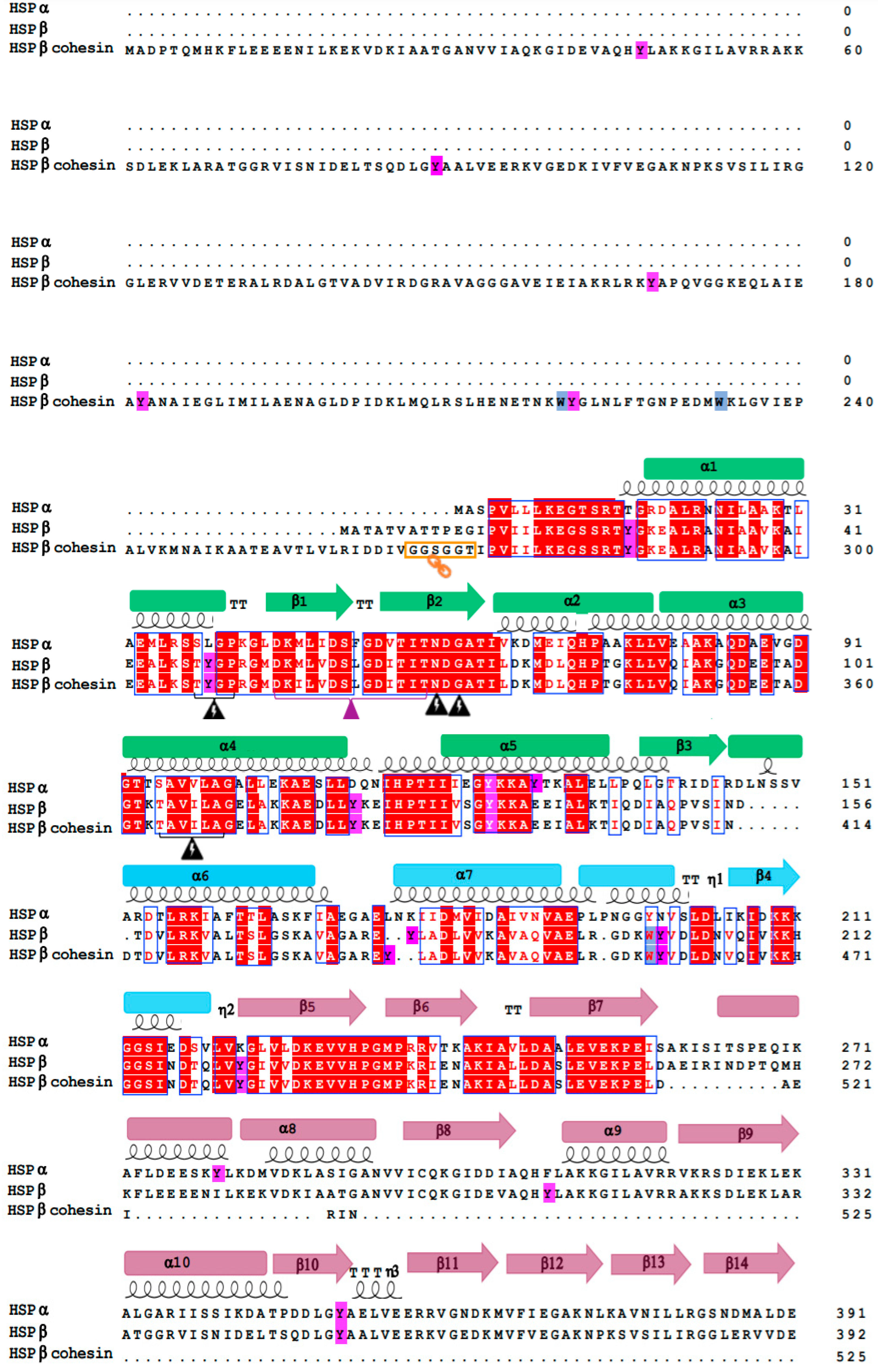 Microorganisms 12 02348 g002a Microorganisms 12 02348 g002a