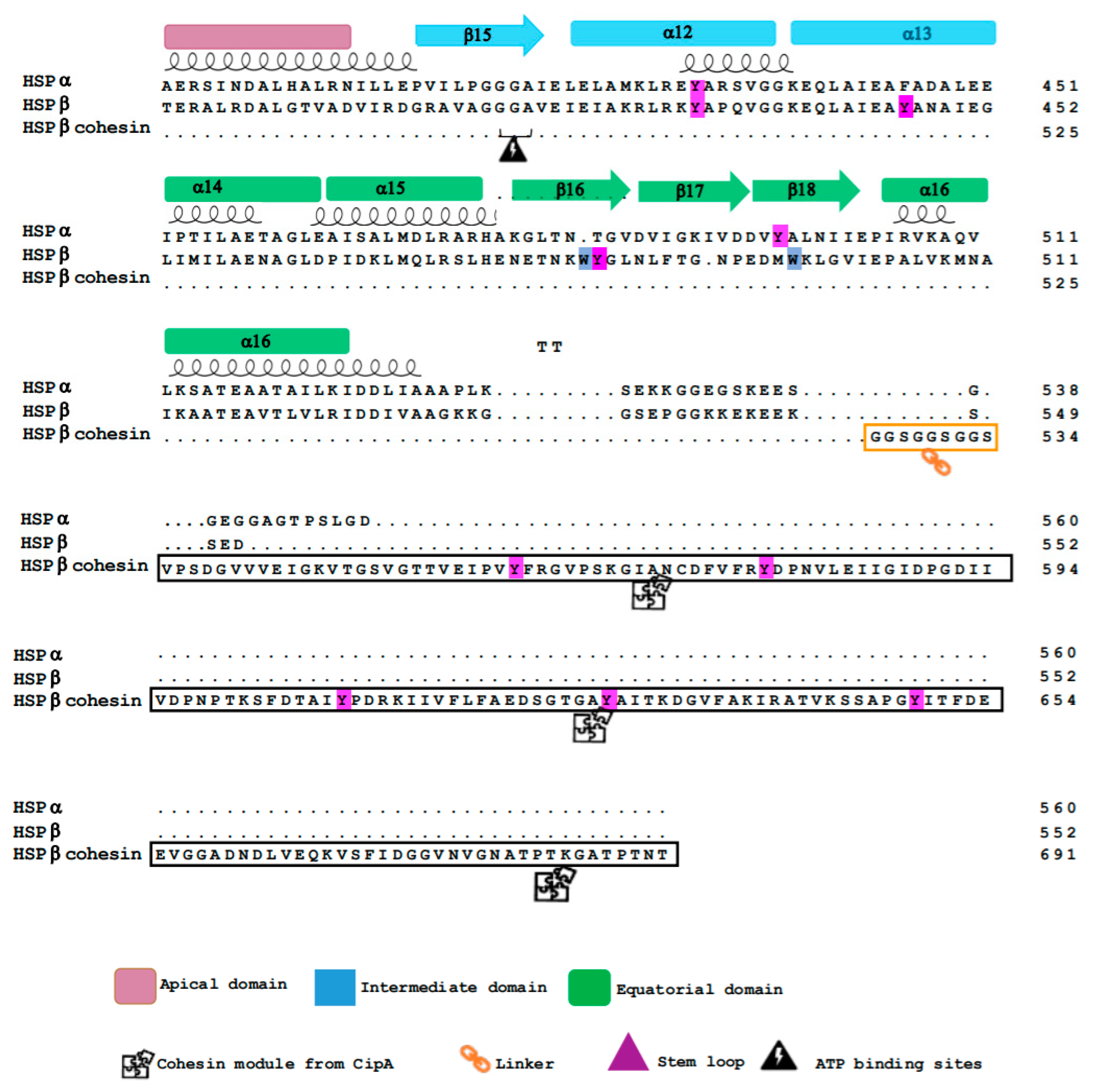 Microorganisms 12 02348 g002b Microorganisms 12 02348 g002b