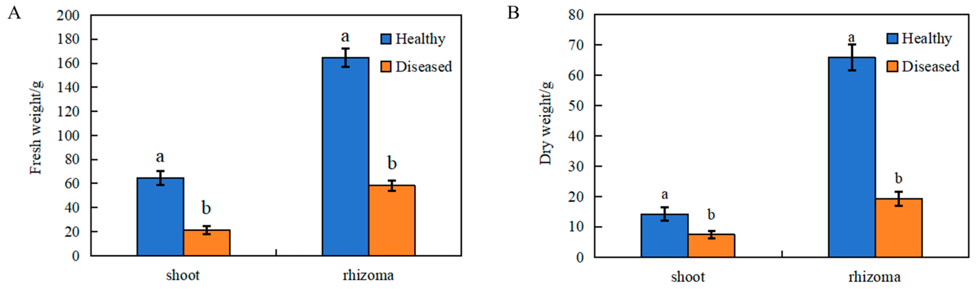 Microorganisms 12 02350 g001