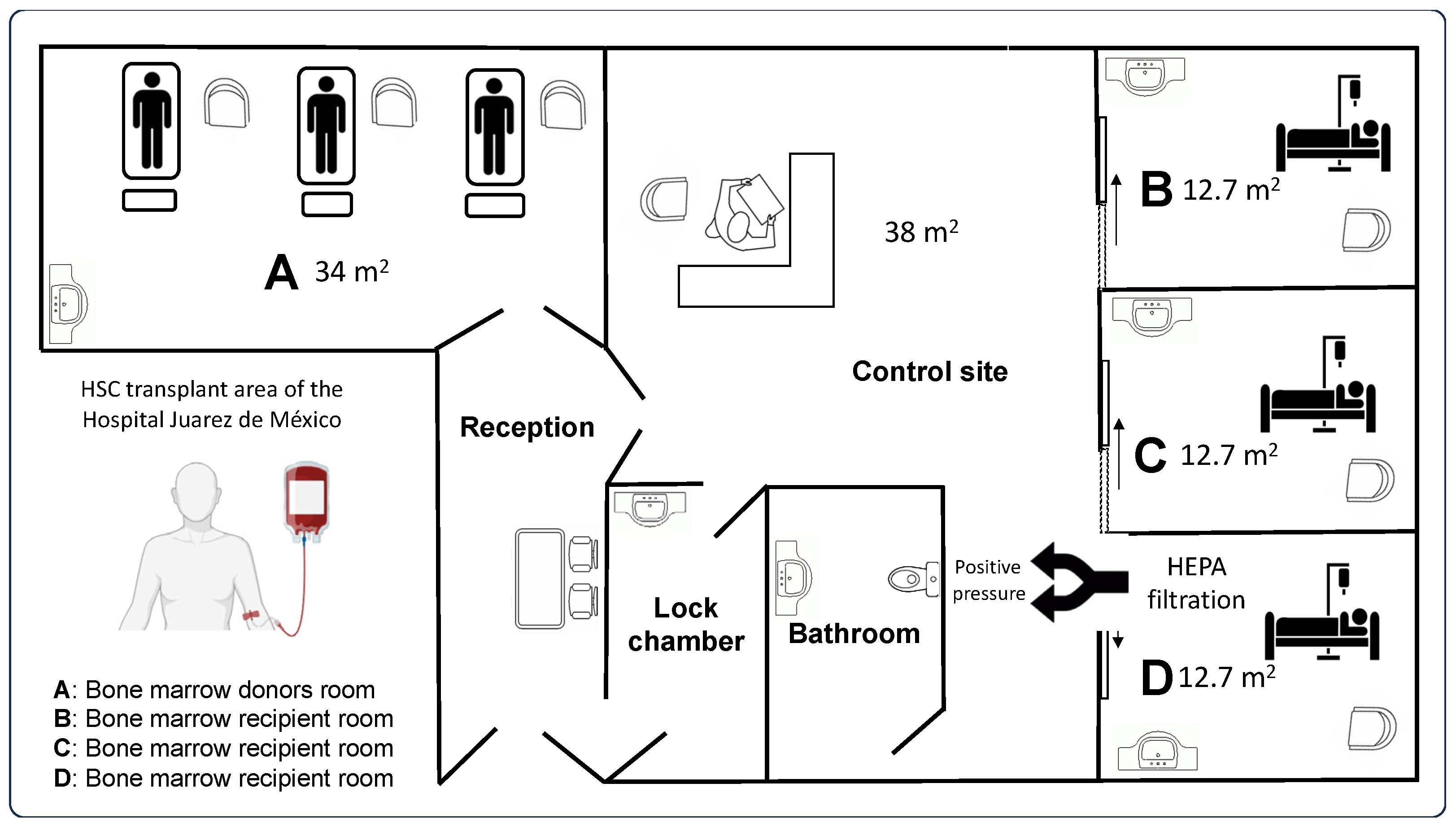 Microorganisms 12 02352 g001