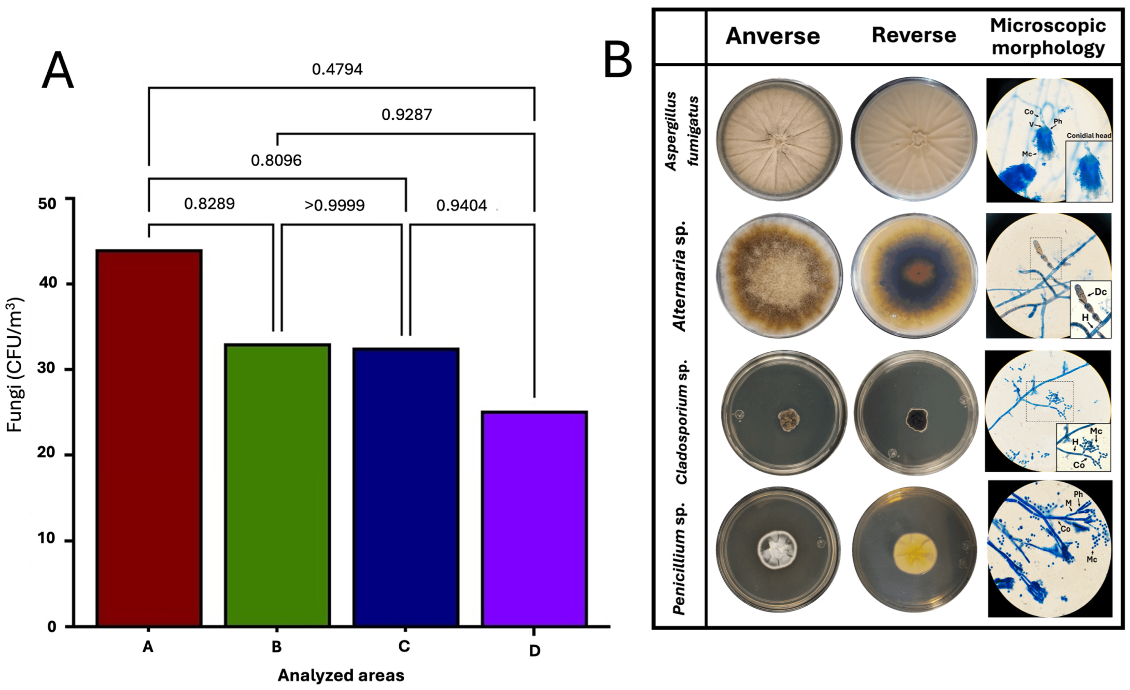 Microorganisms 12 02352 g006