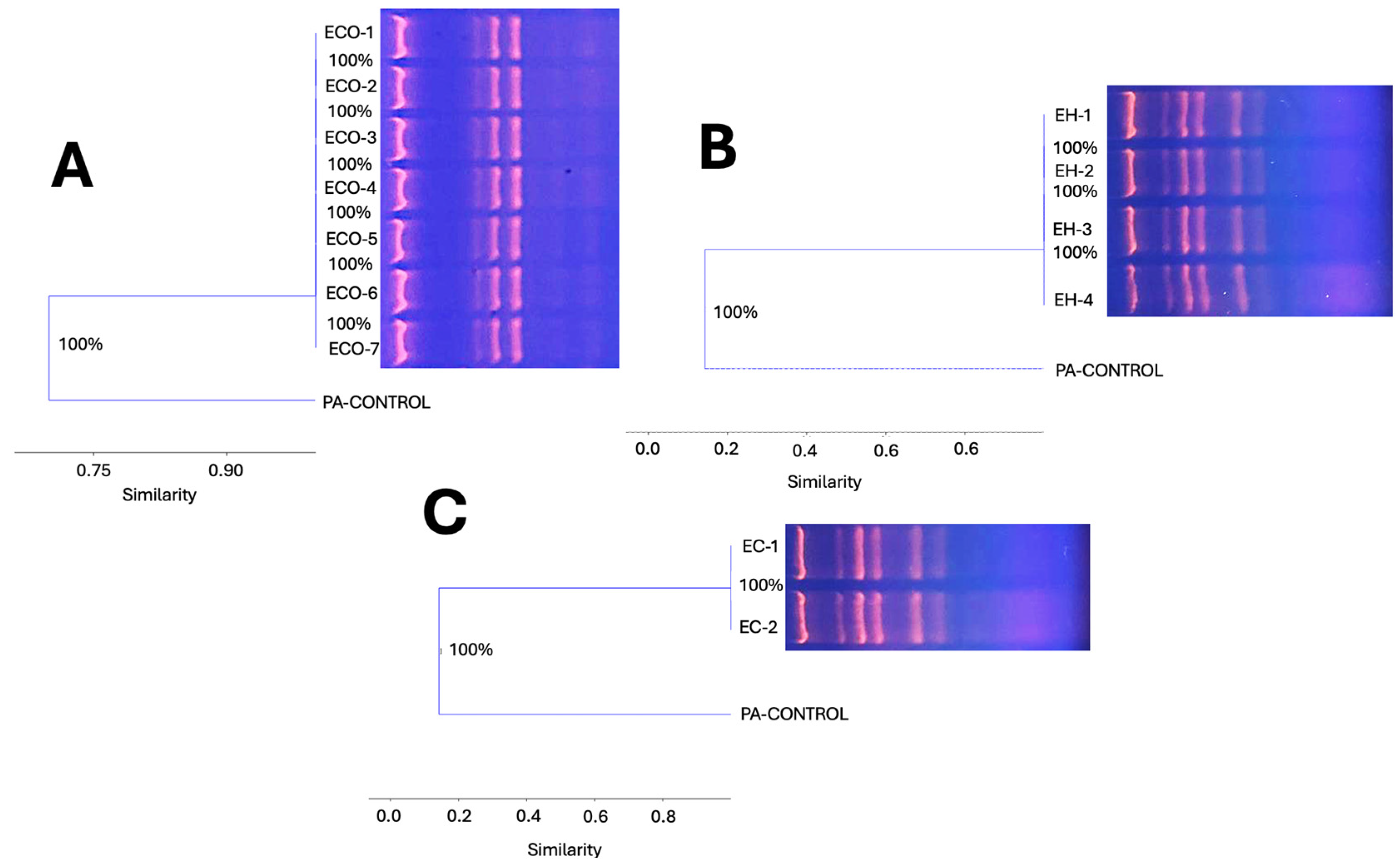 Microorganisms 12 02352 g007