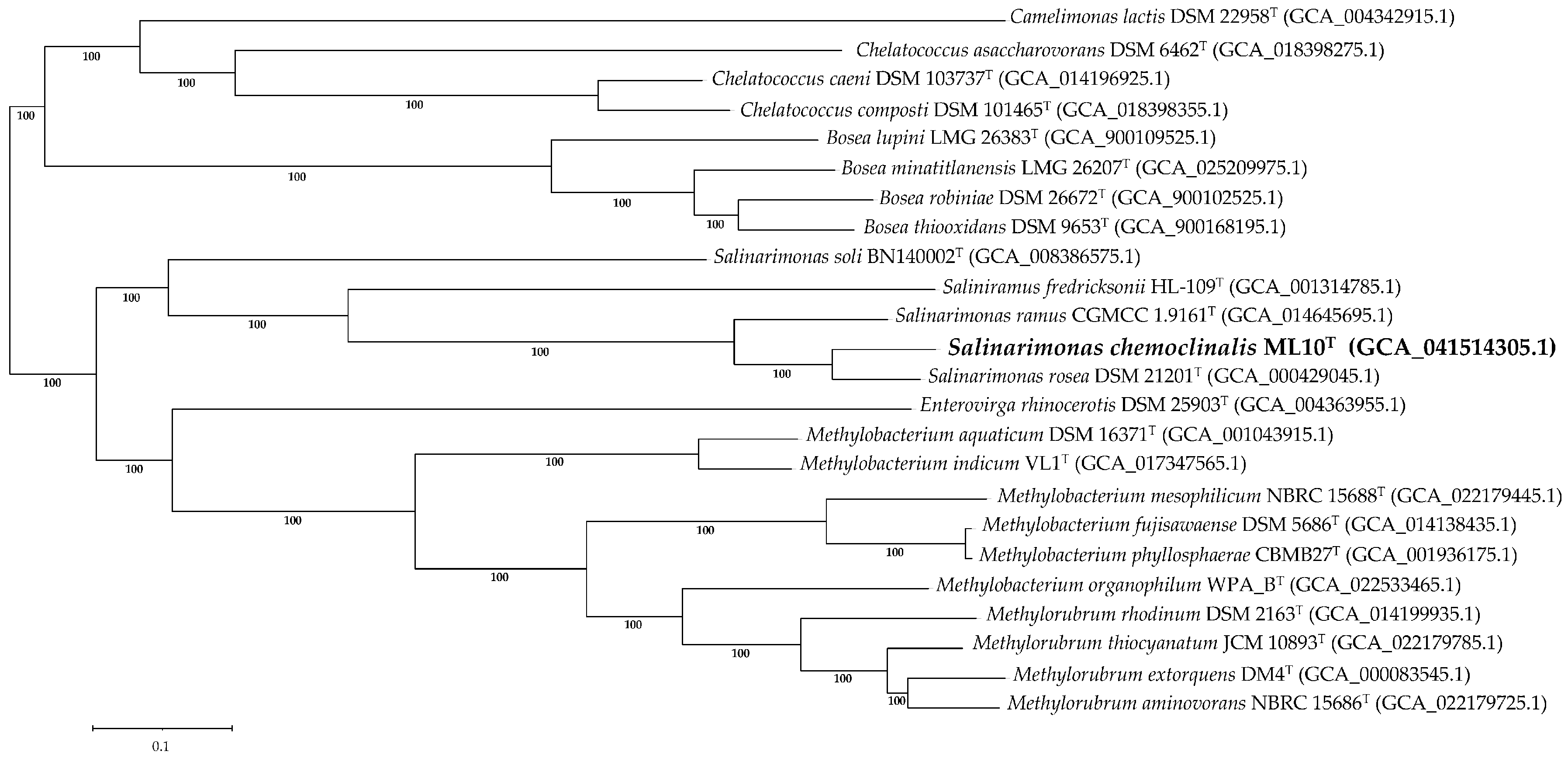 Microorganisms 12 02359 g004