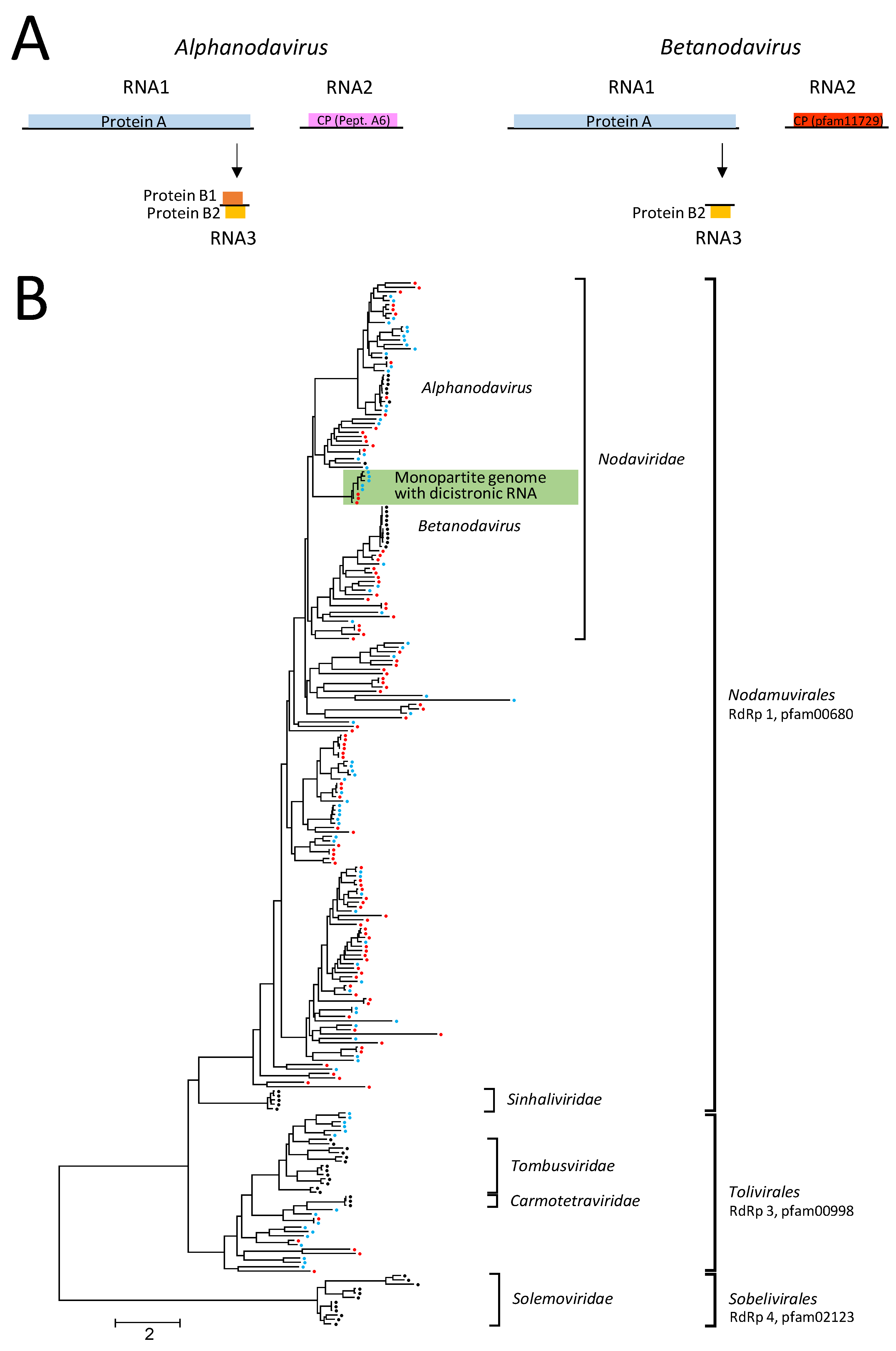 Microorganisms 12 02361 g001
