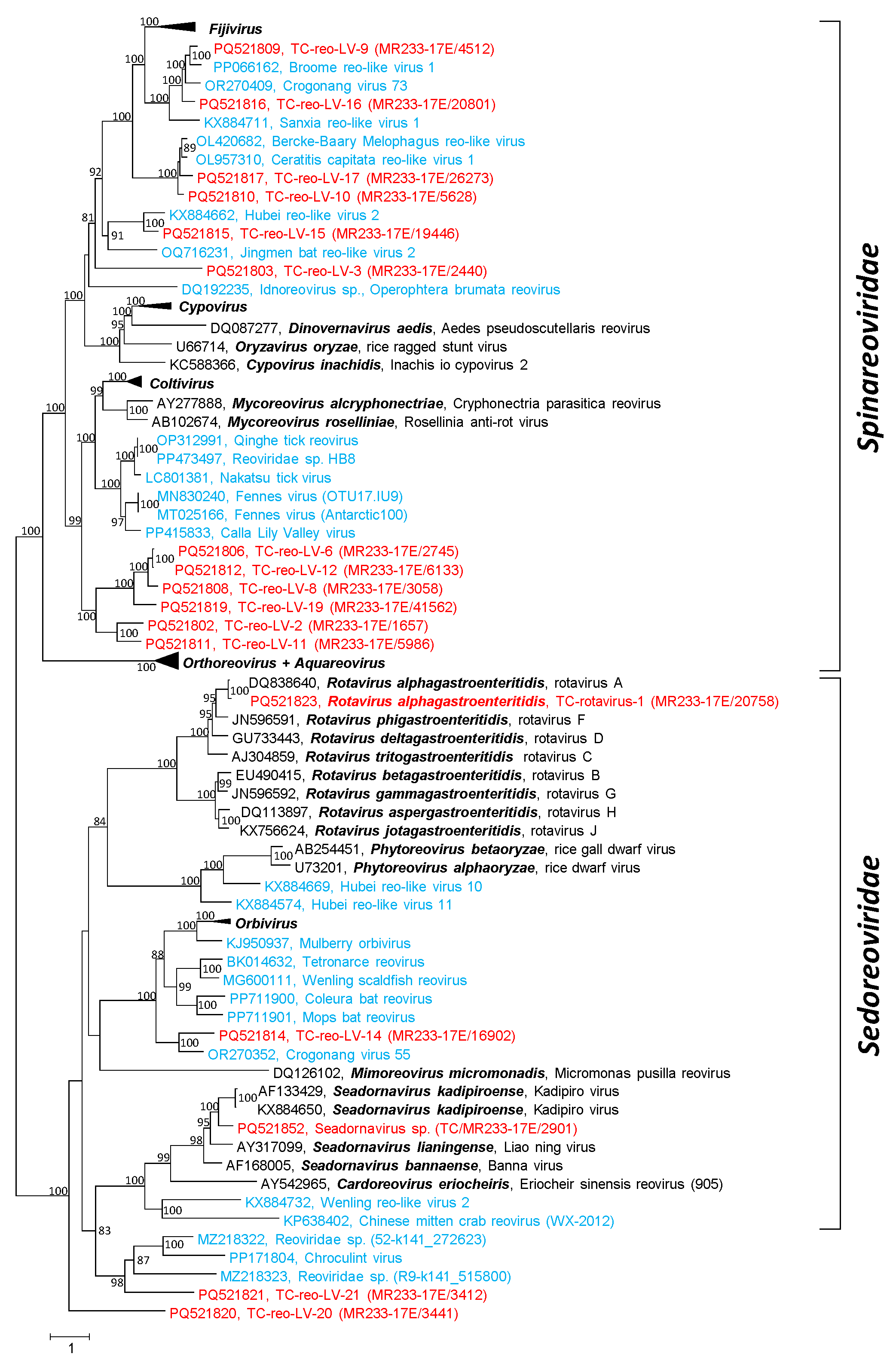 Microorganisms 12 02361 g003