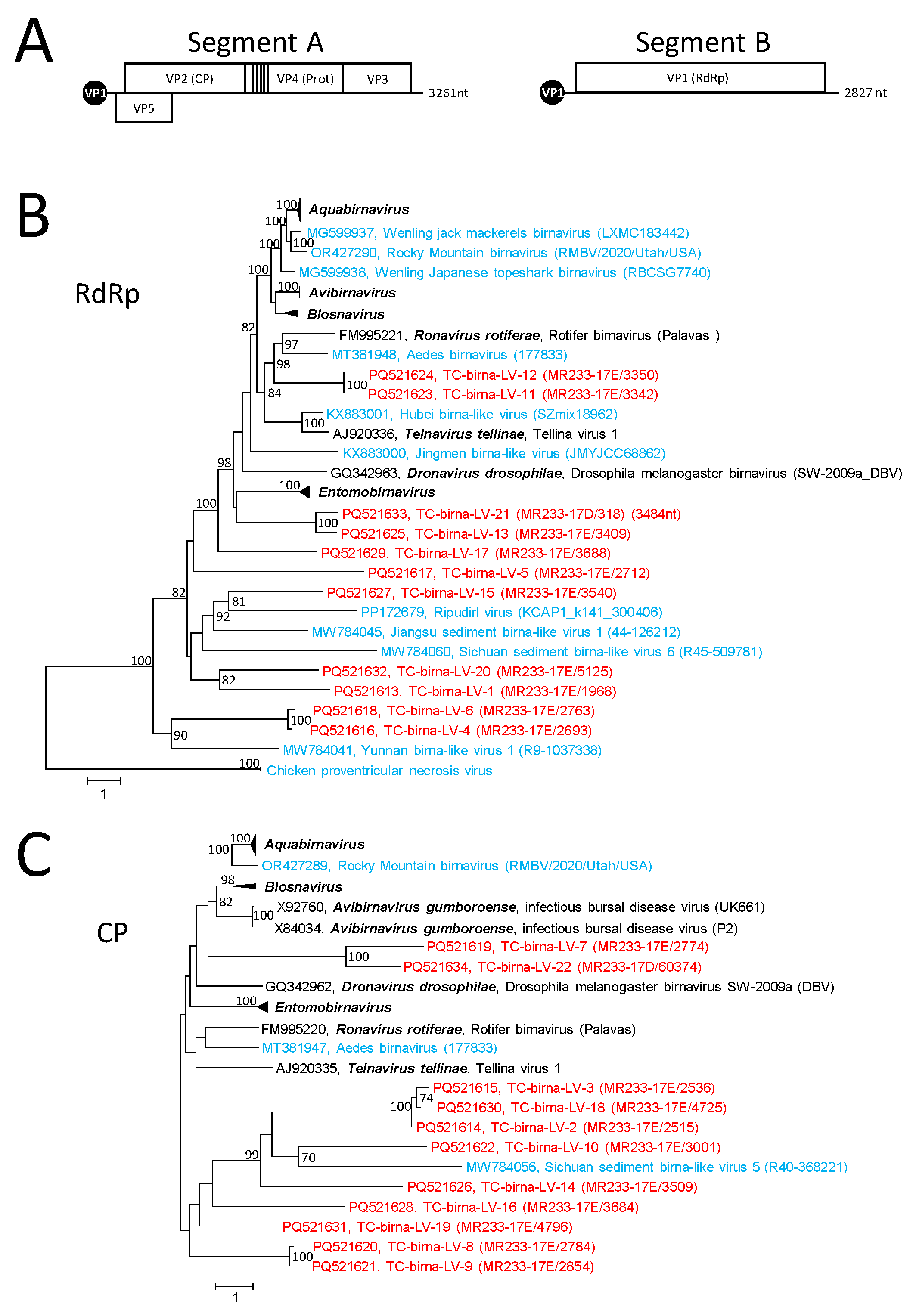 Microorganisms 12 02361 g005