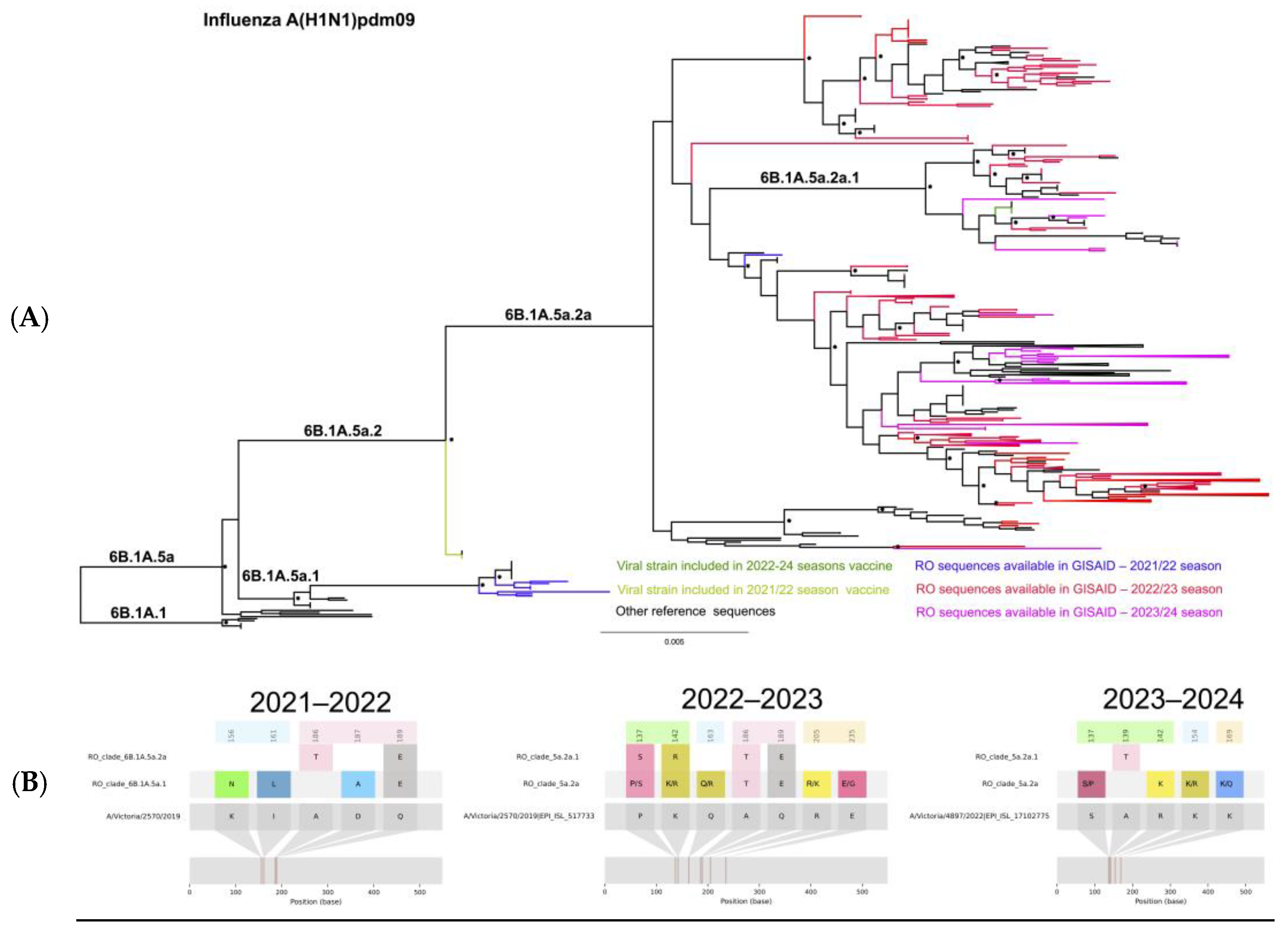 Microorganisms 12 02363 g001
