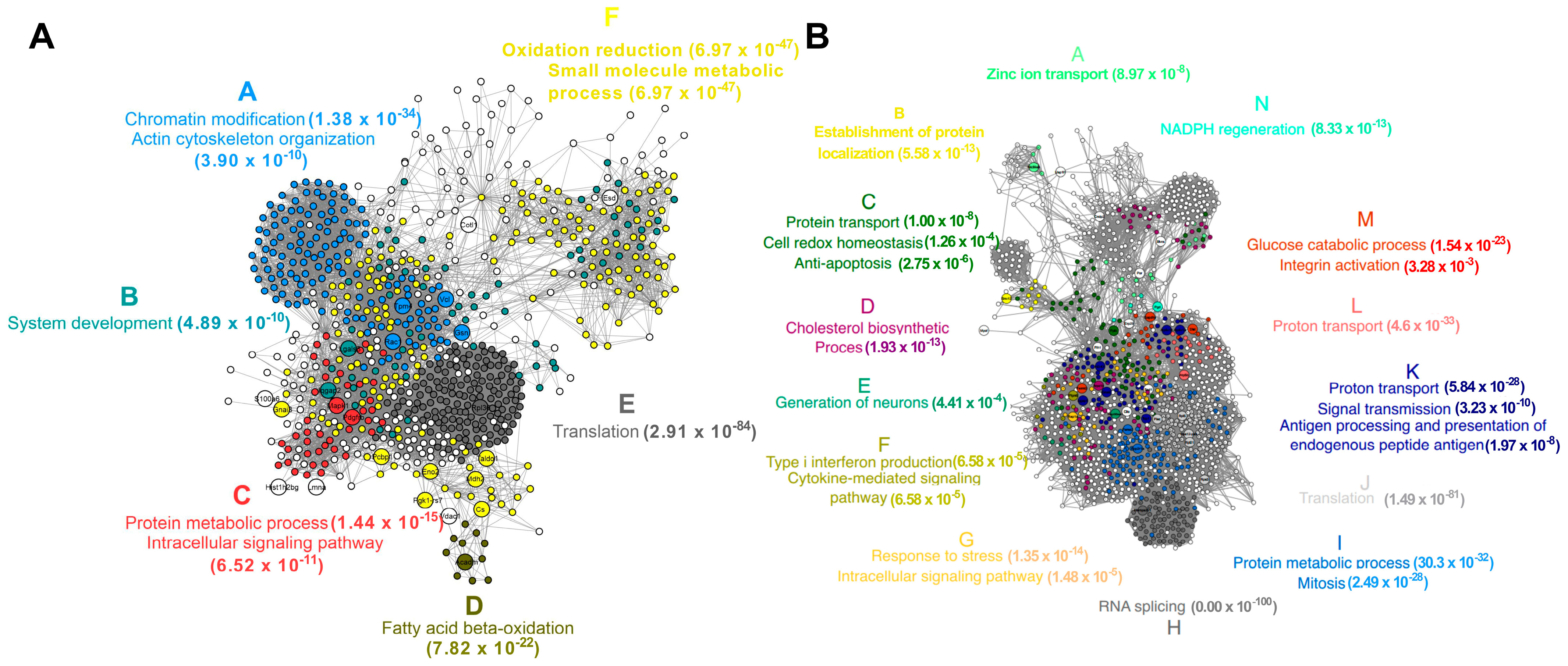 Microorganisms 12 02366 g005