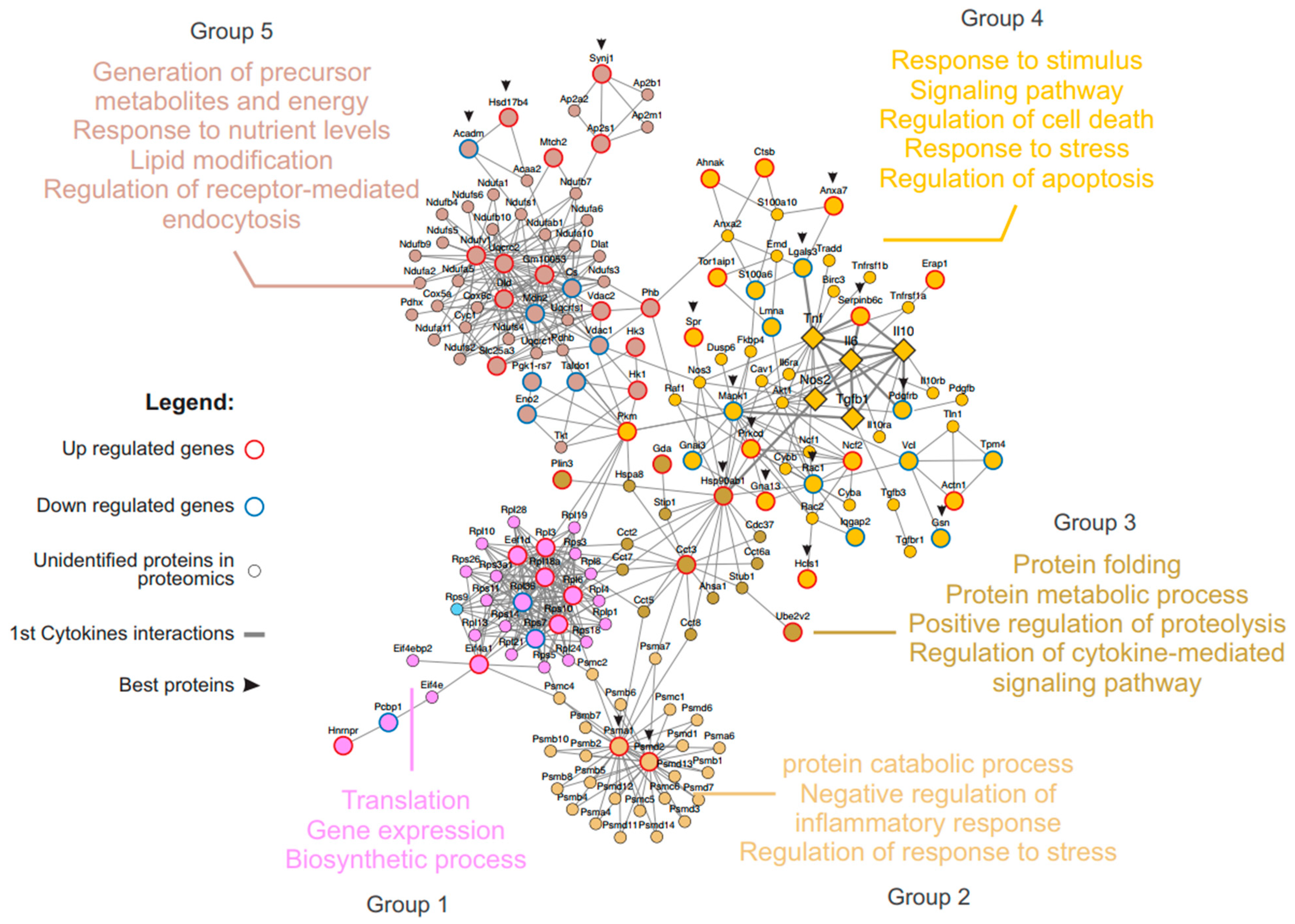 Microorganisms 12 02366 g007