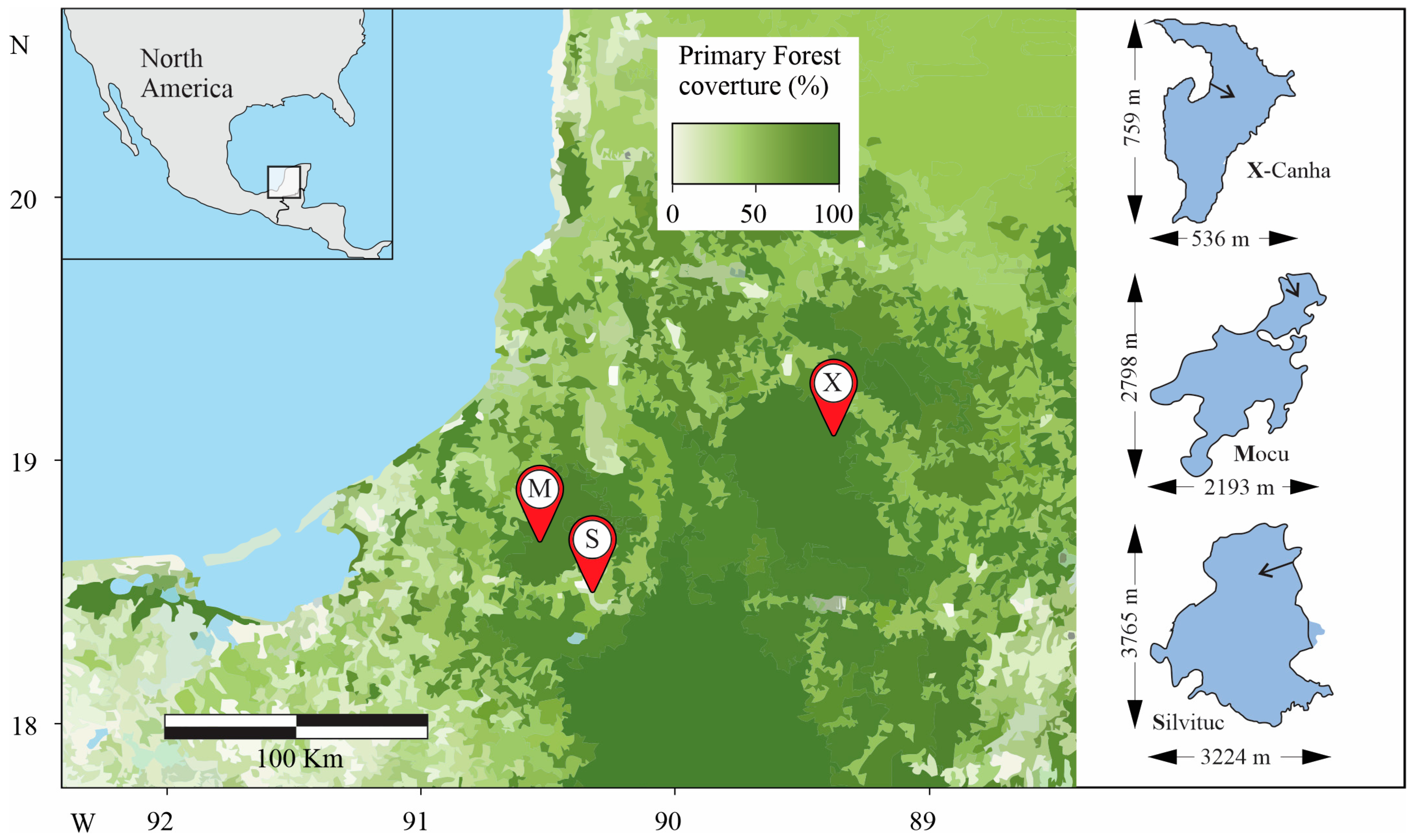 Microorganisms 12 02368 g001