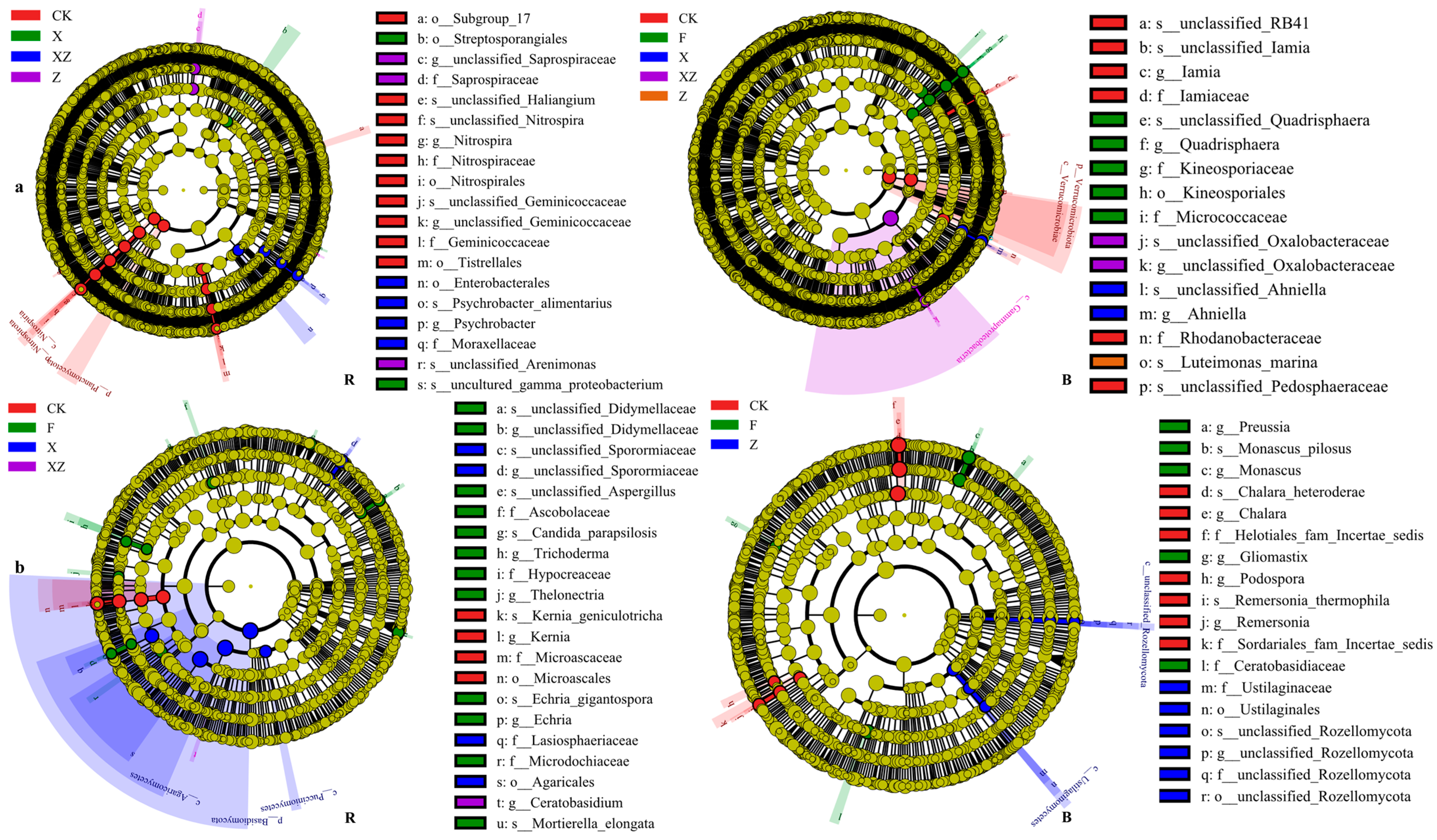 Microorganisms 12 02371 g006