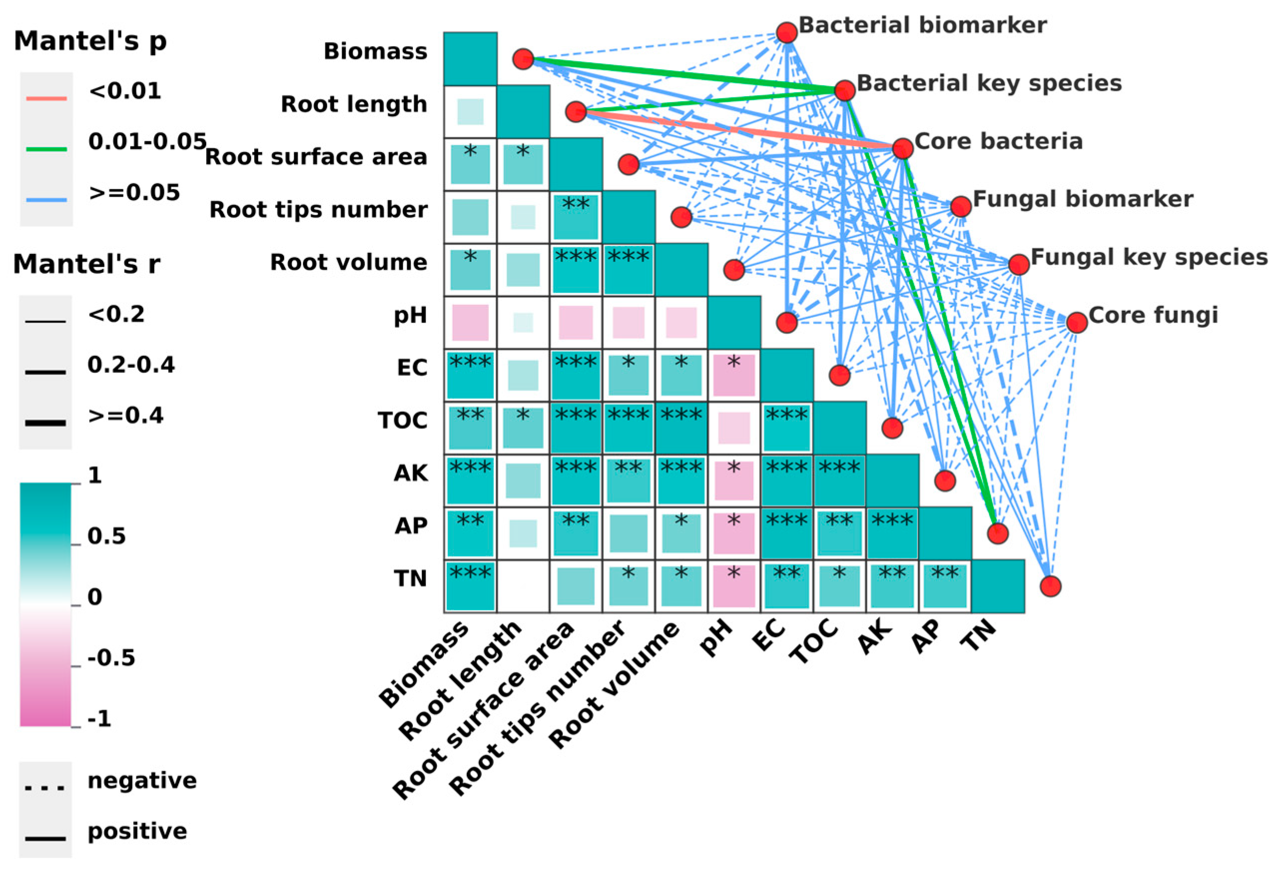 Microorganisms 12 02371 g007