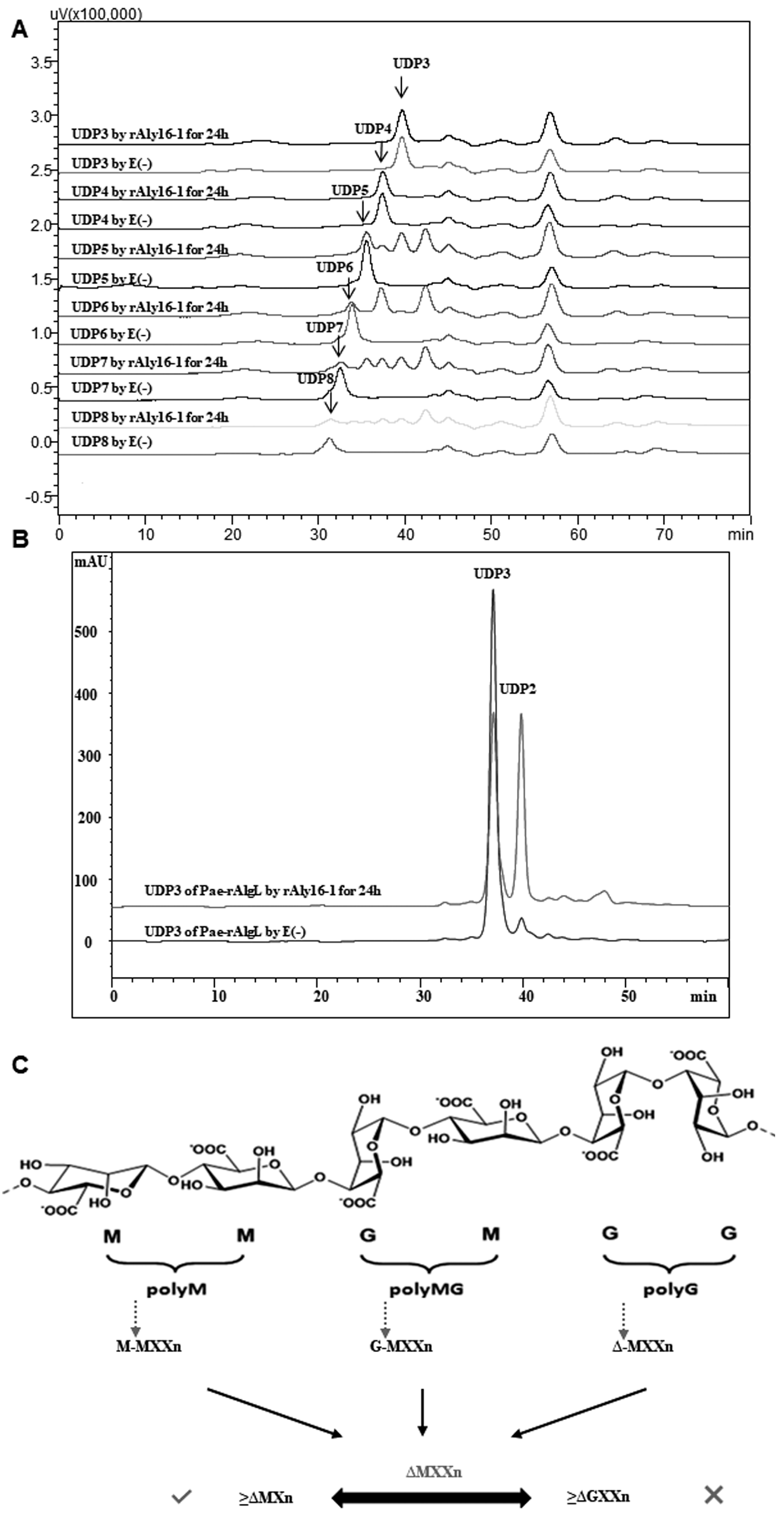 Microorganisms 12 02374 g006
