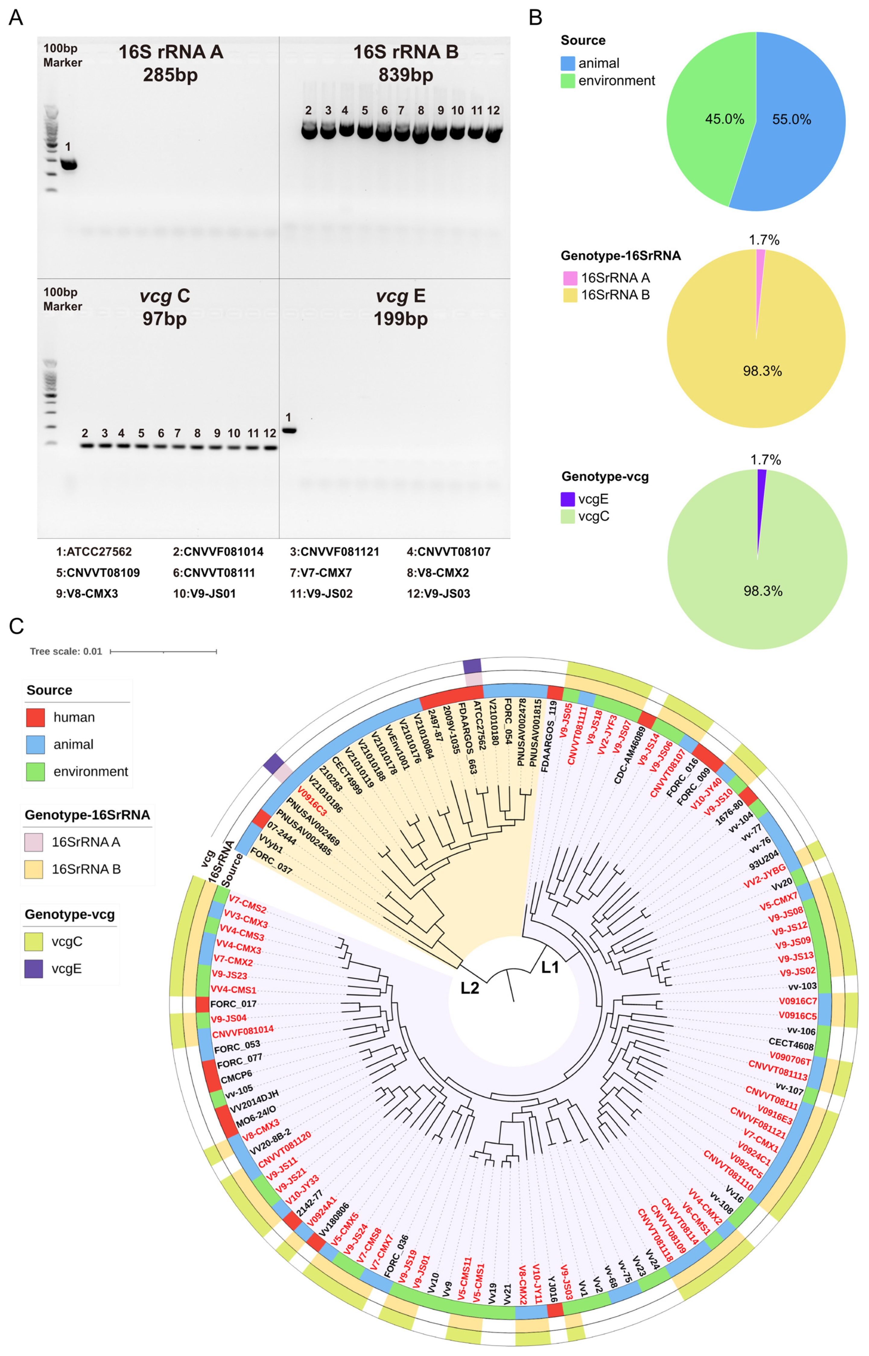 Microorganisms 12 02375 g001 Microorganisms 12 02375 g001