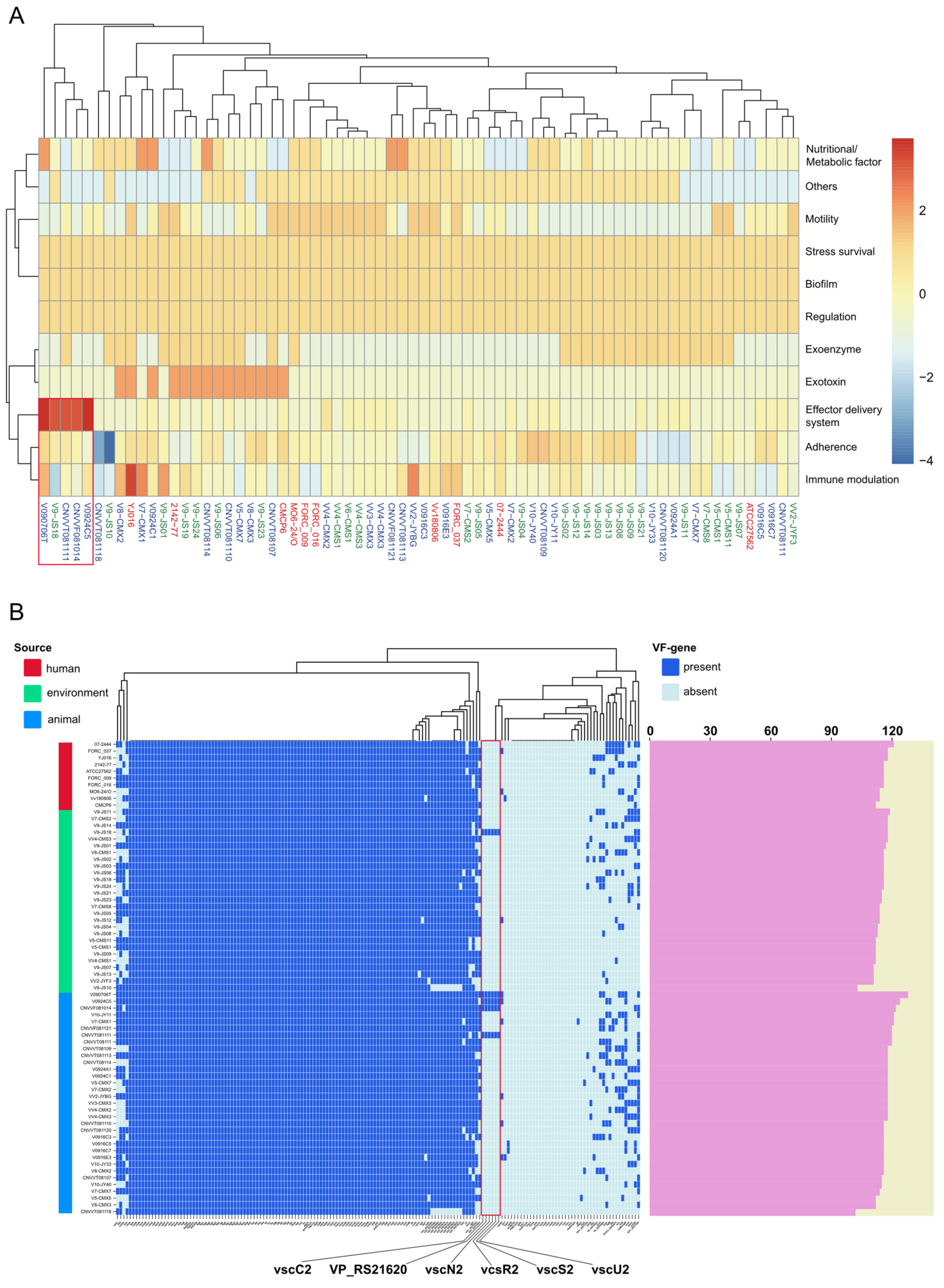 Microorganisms 12 02375 g003 Microorganisms 12 02375 g003