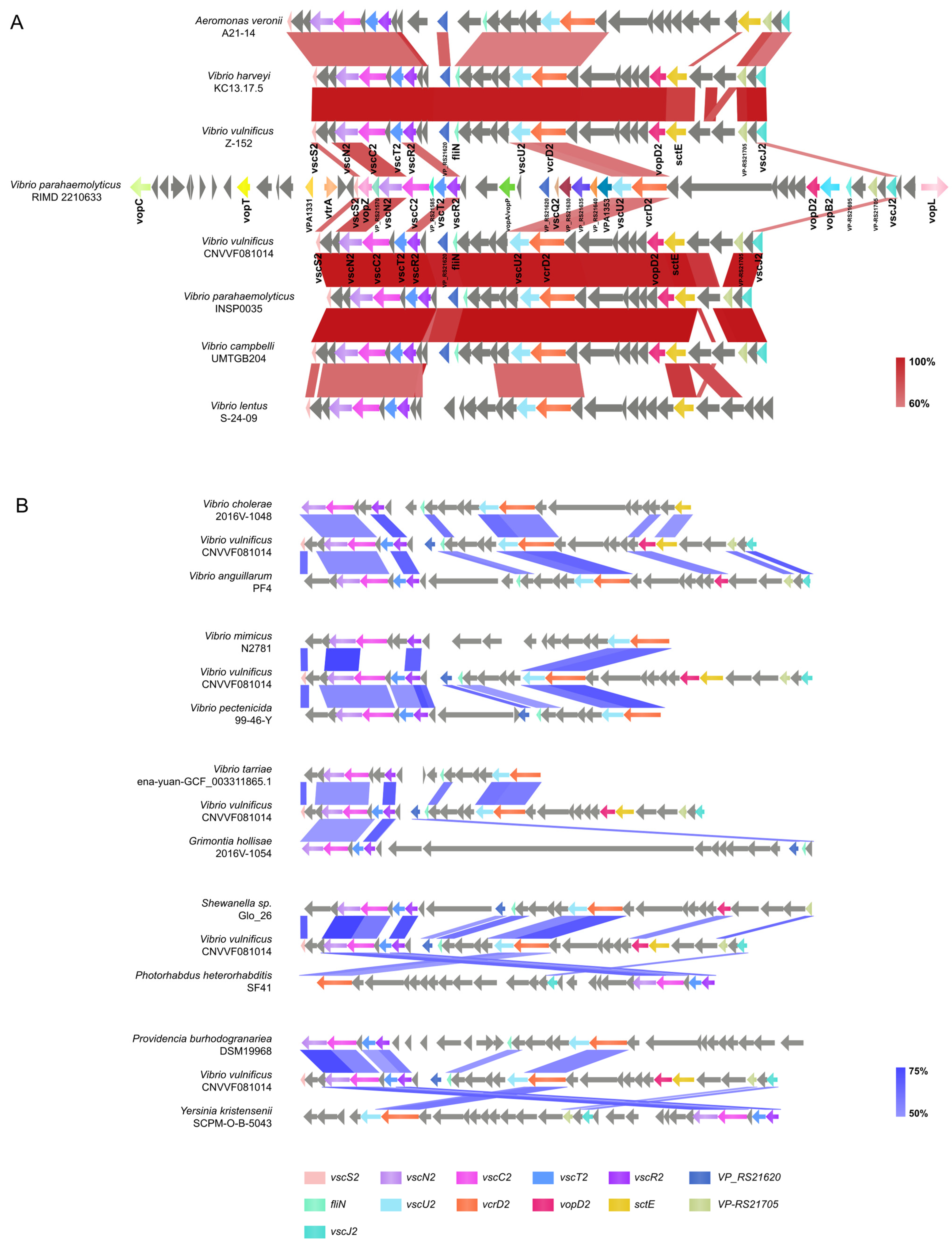 Microorganisms 12 02375 g006 Microorganisms 12 02375 g006