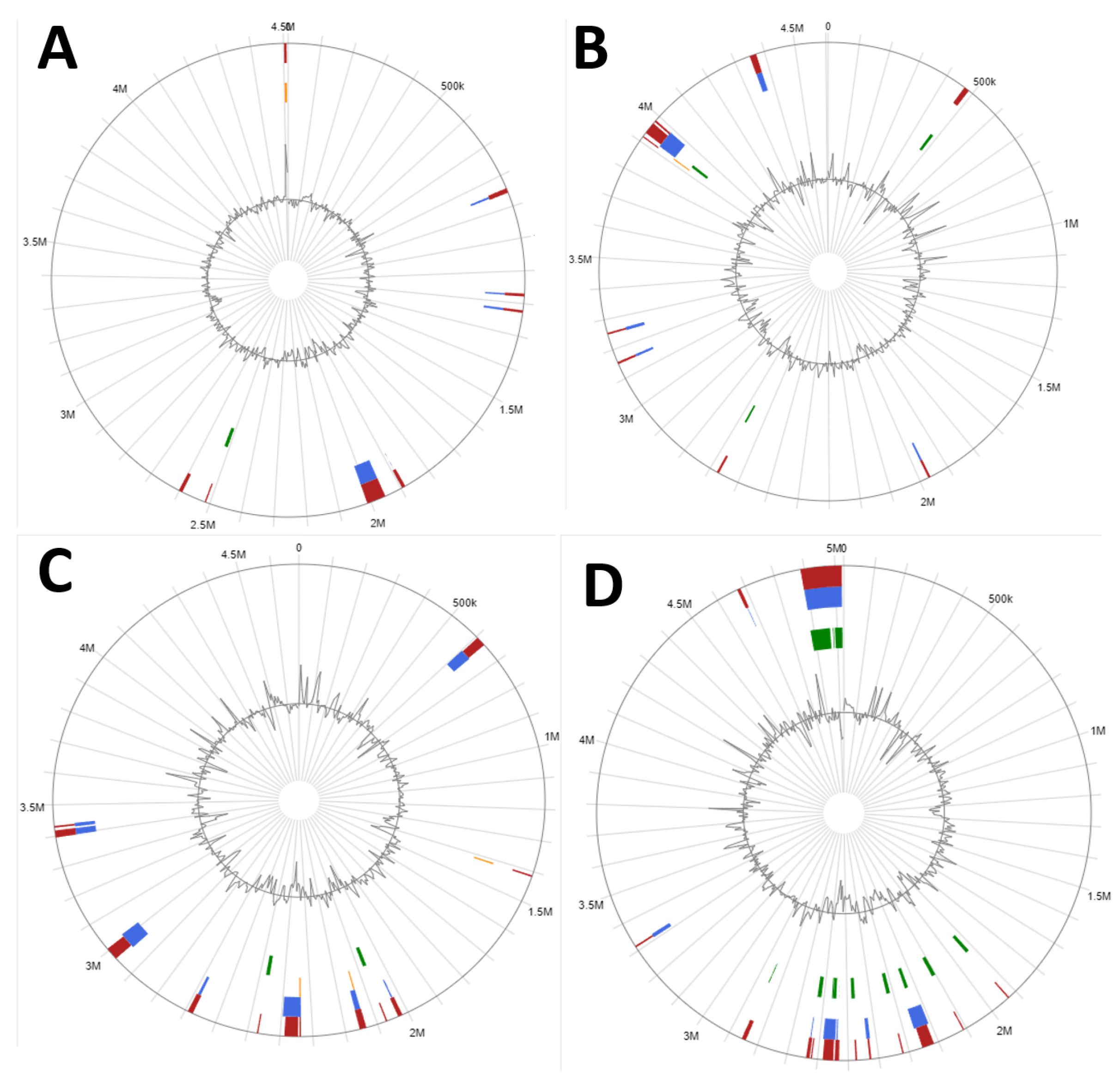 Microorganisms 12 02377 g010