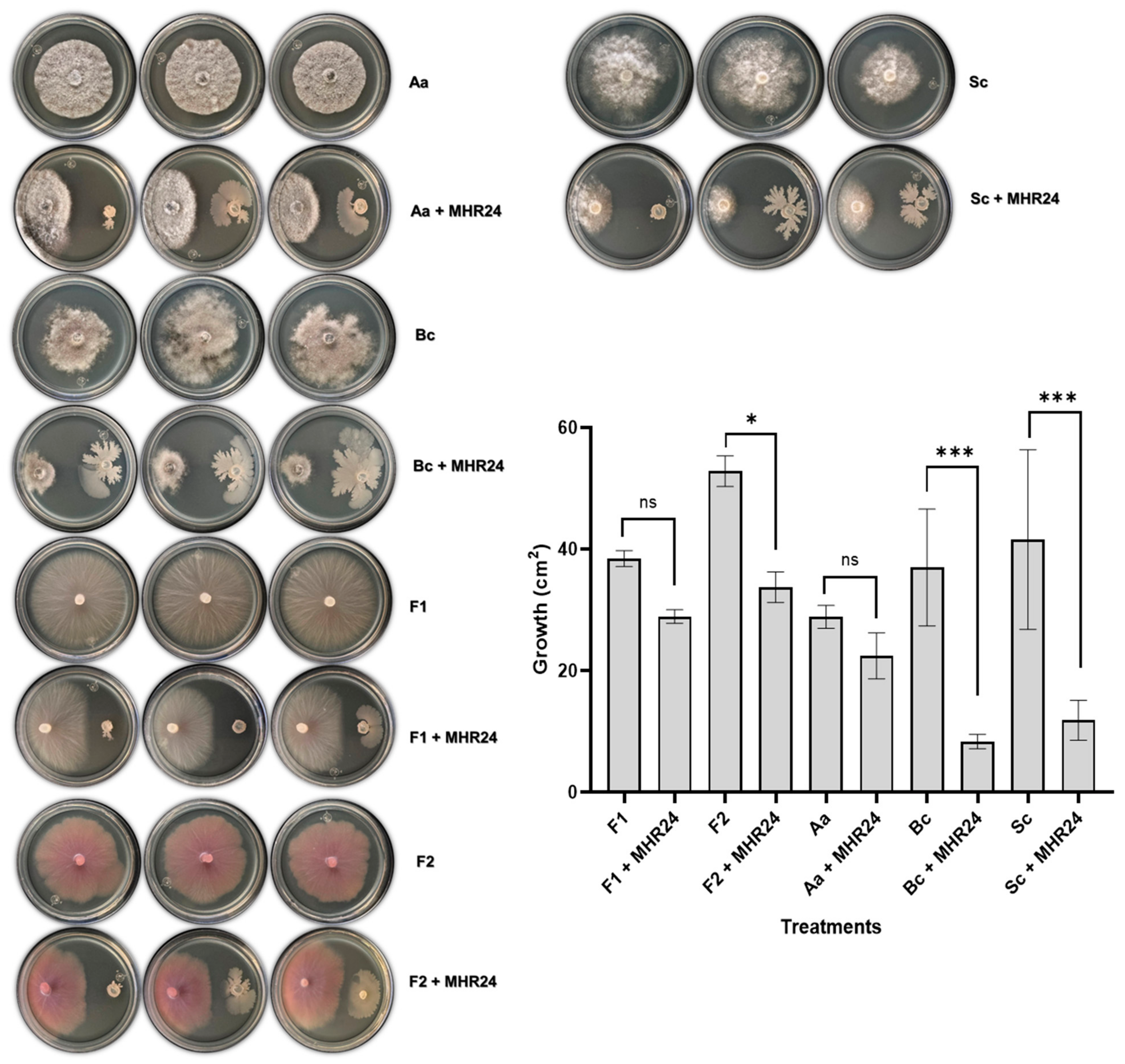 Microorganisms 12 02380 g001