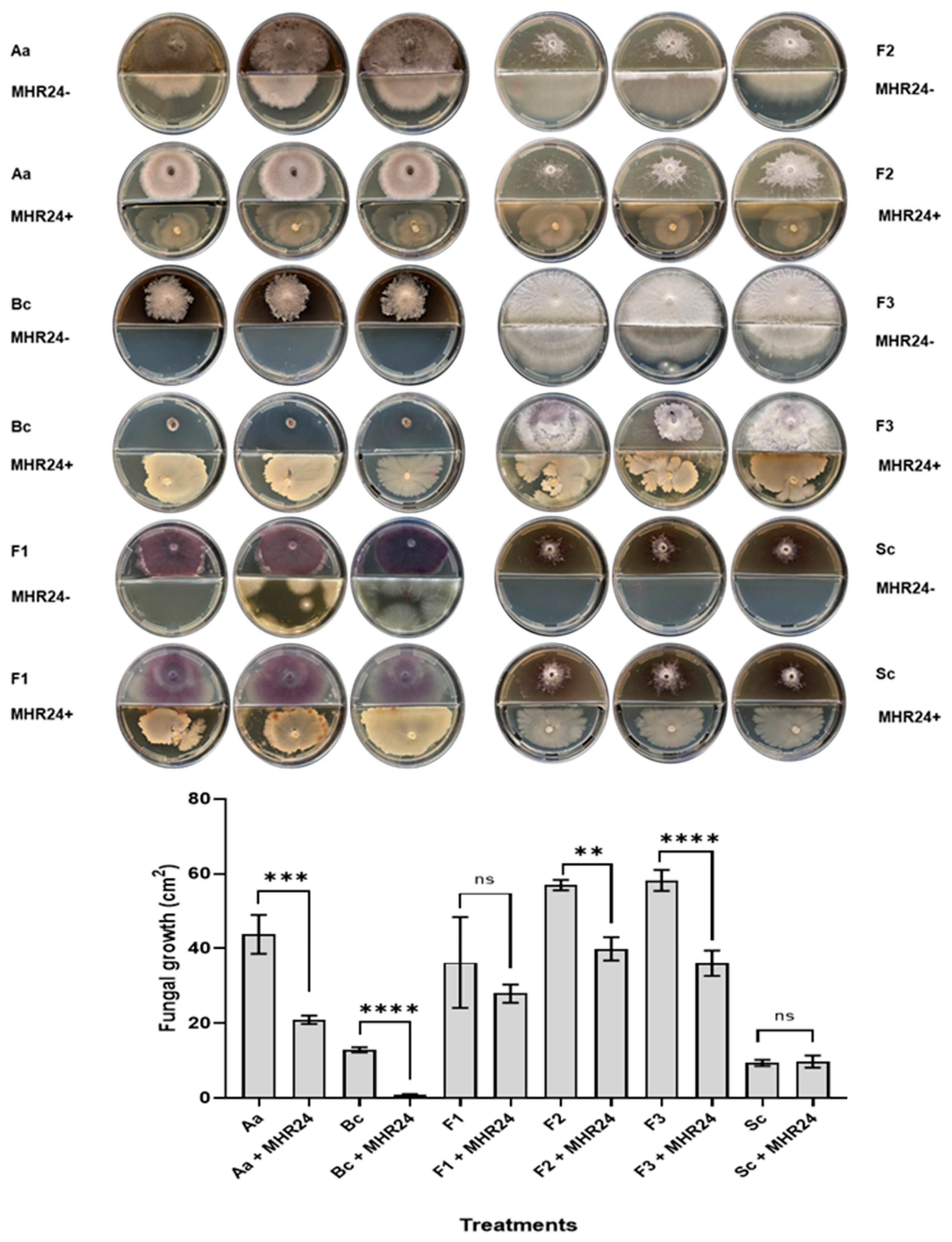 Microorganisms 12 02380 g002