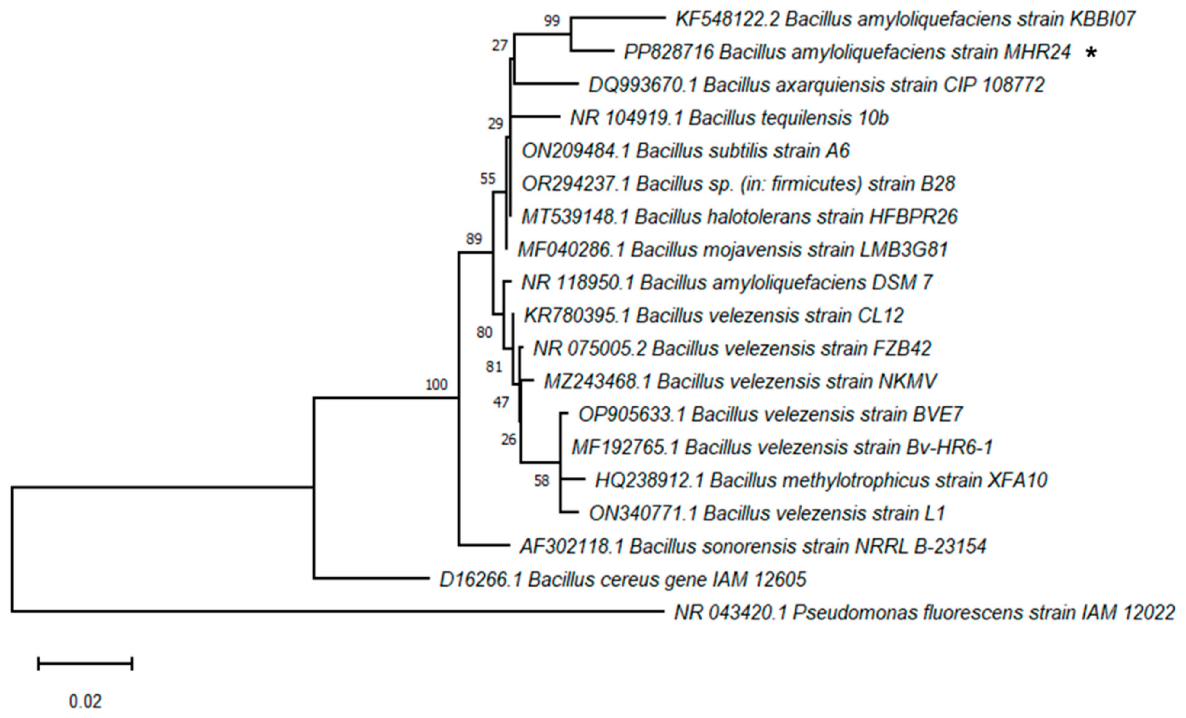 Microorganisms 12 02380 g003