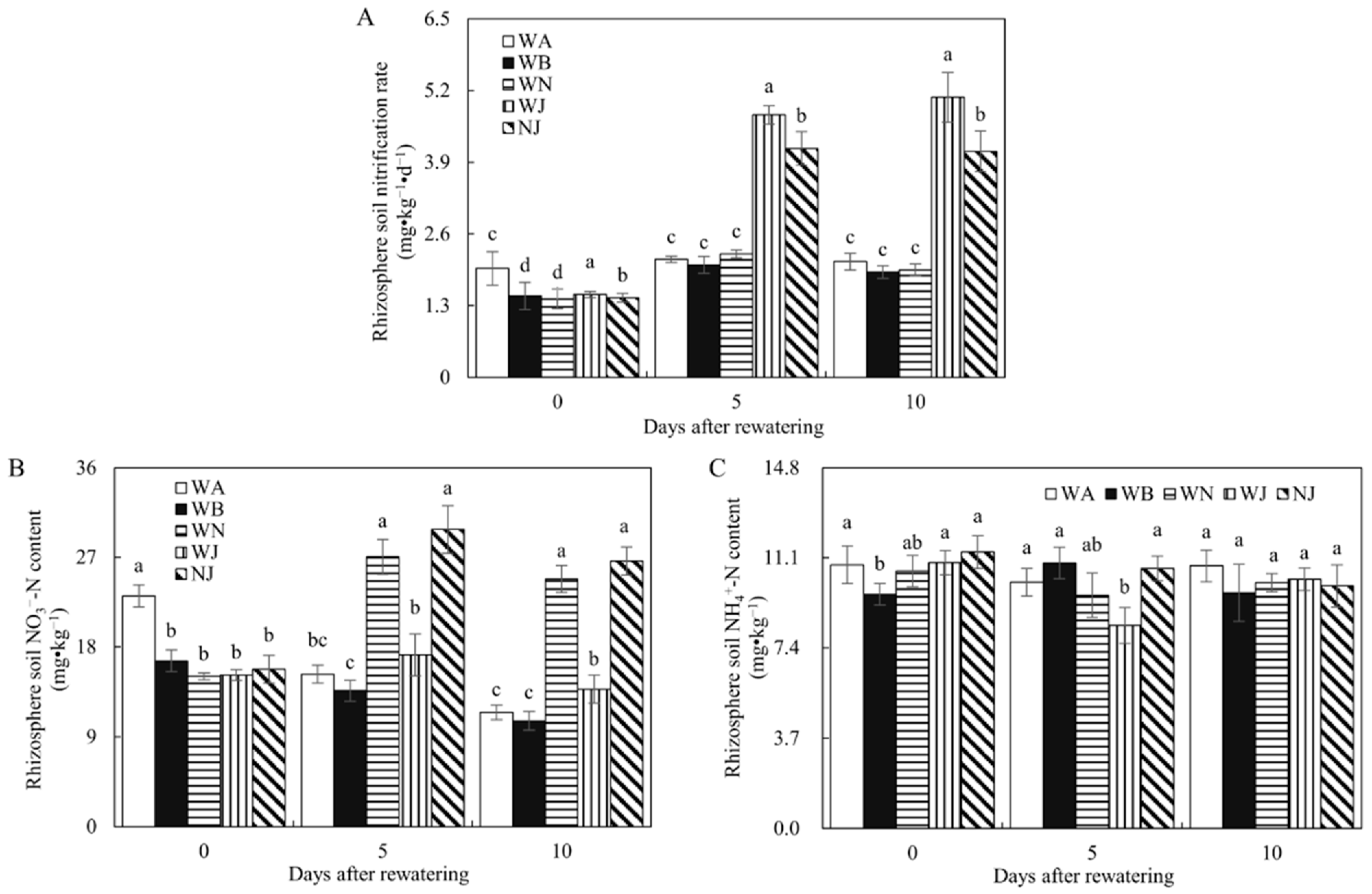 Microorganisms 12 02383 g005