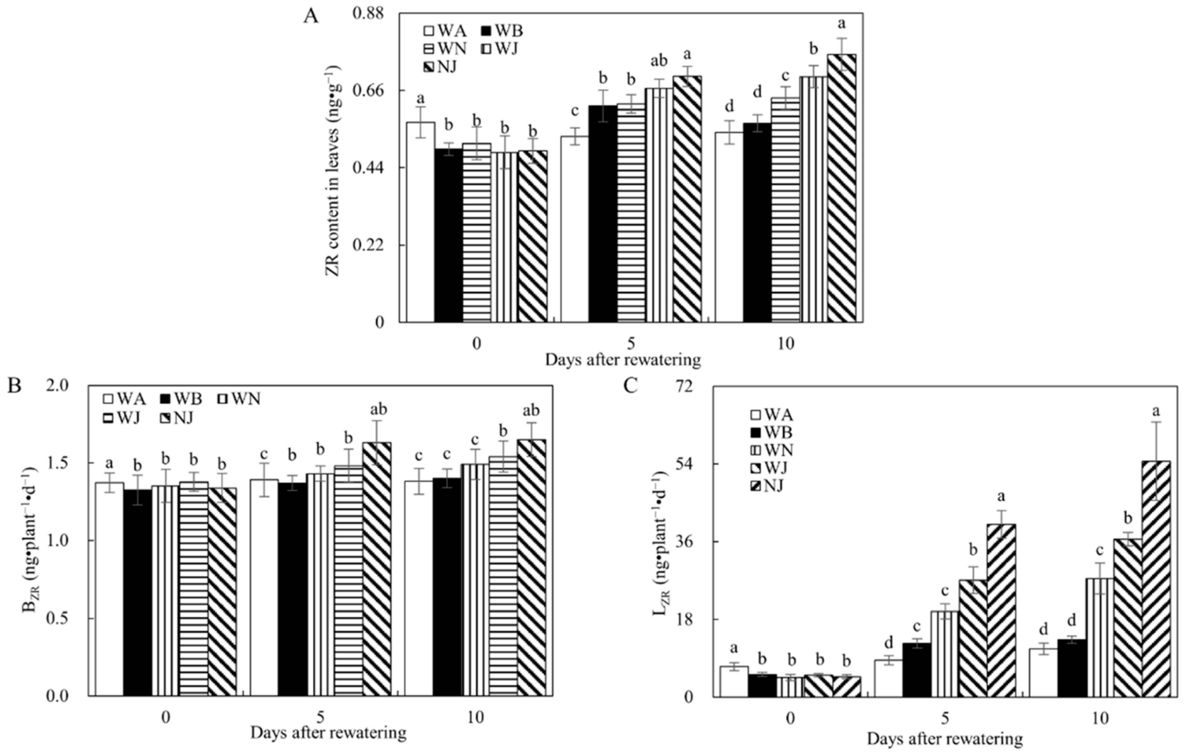 Microorganisms 12 02383 g006