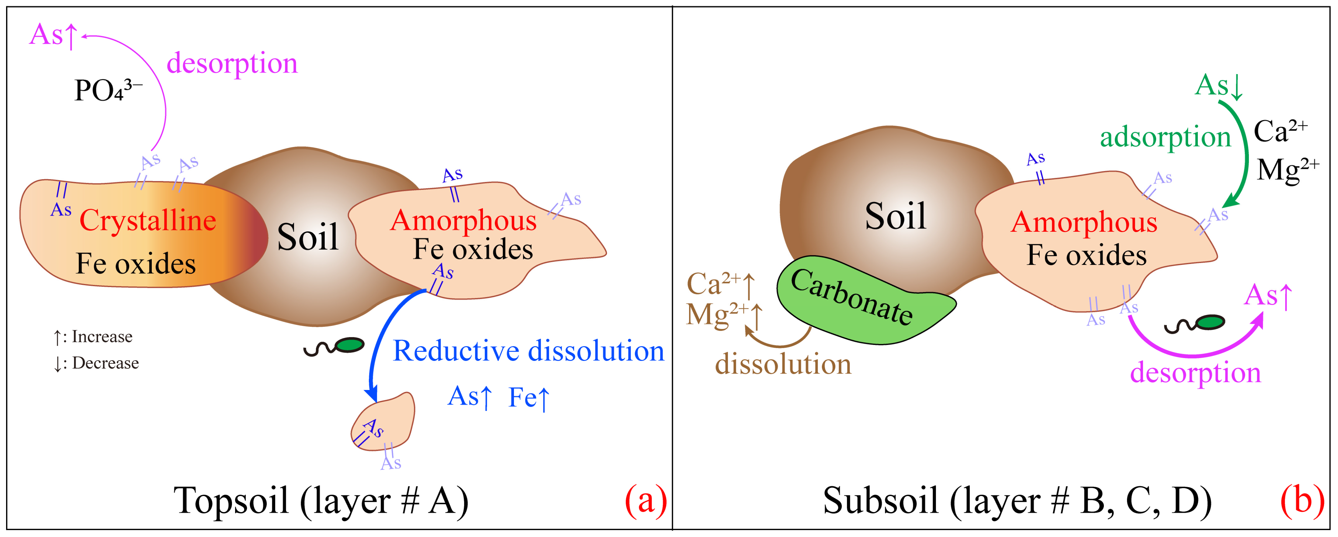 Microorganisms 12 02385 g008