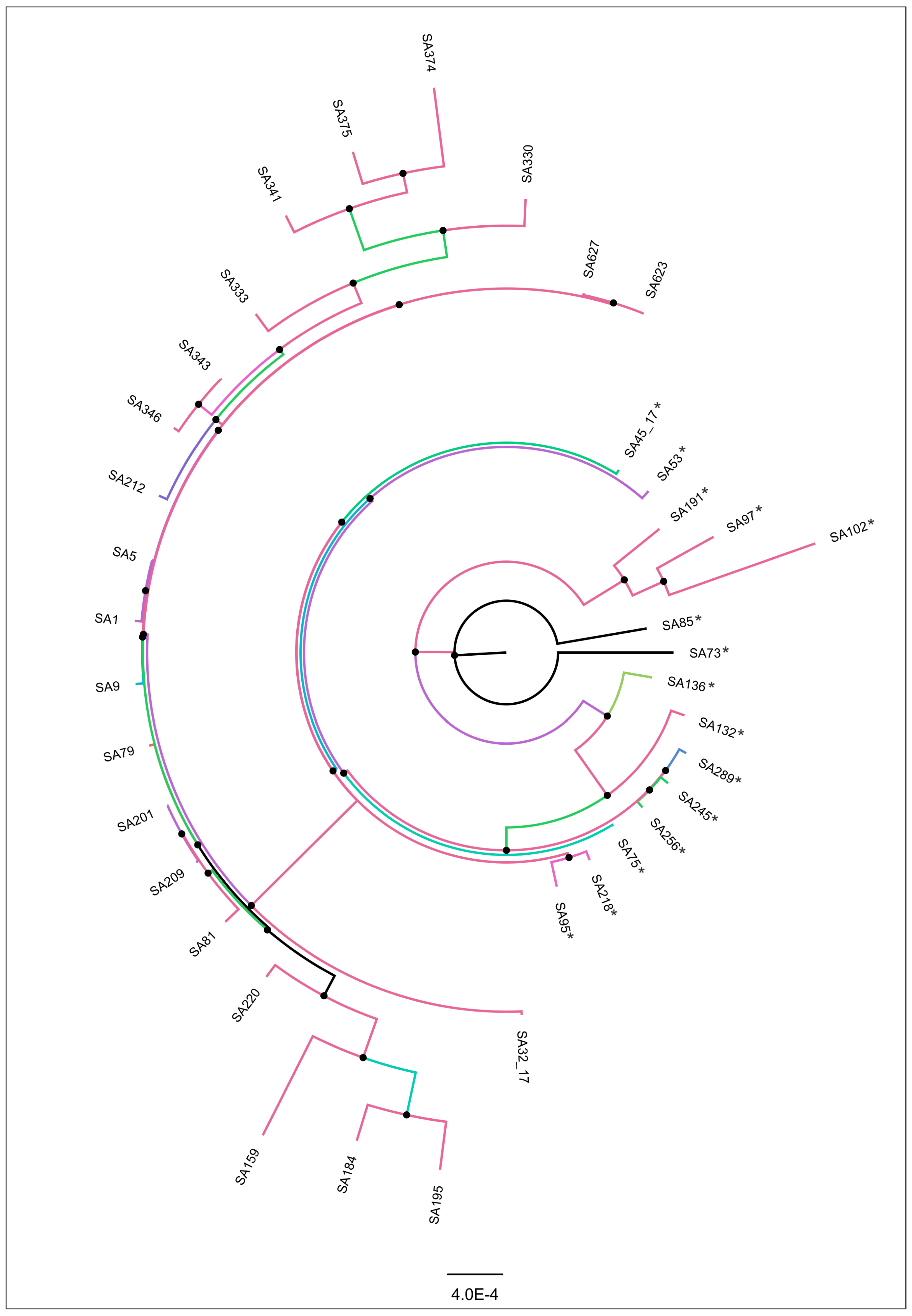 Microorganisms 12 02393 g003