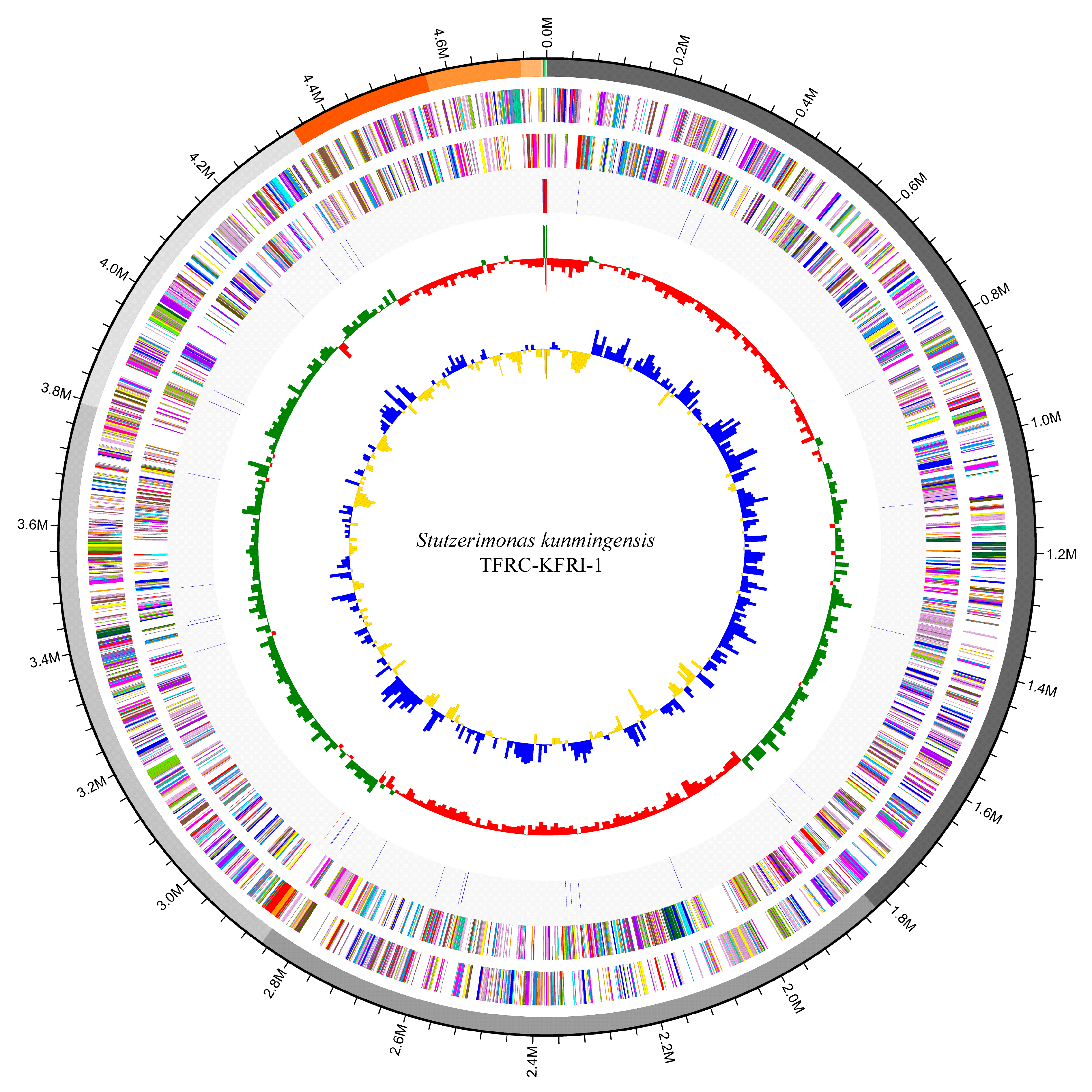 Microorganisms 12 02402 g001