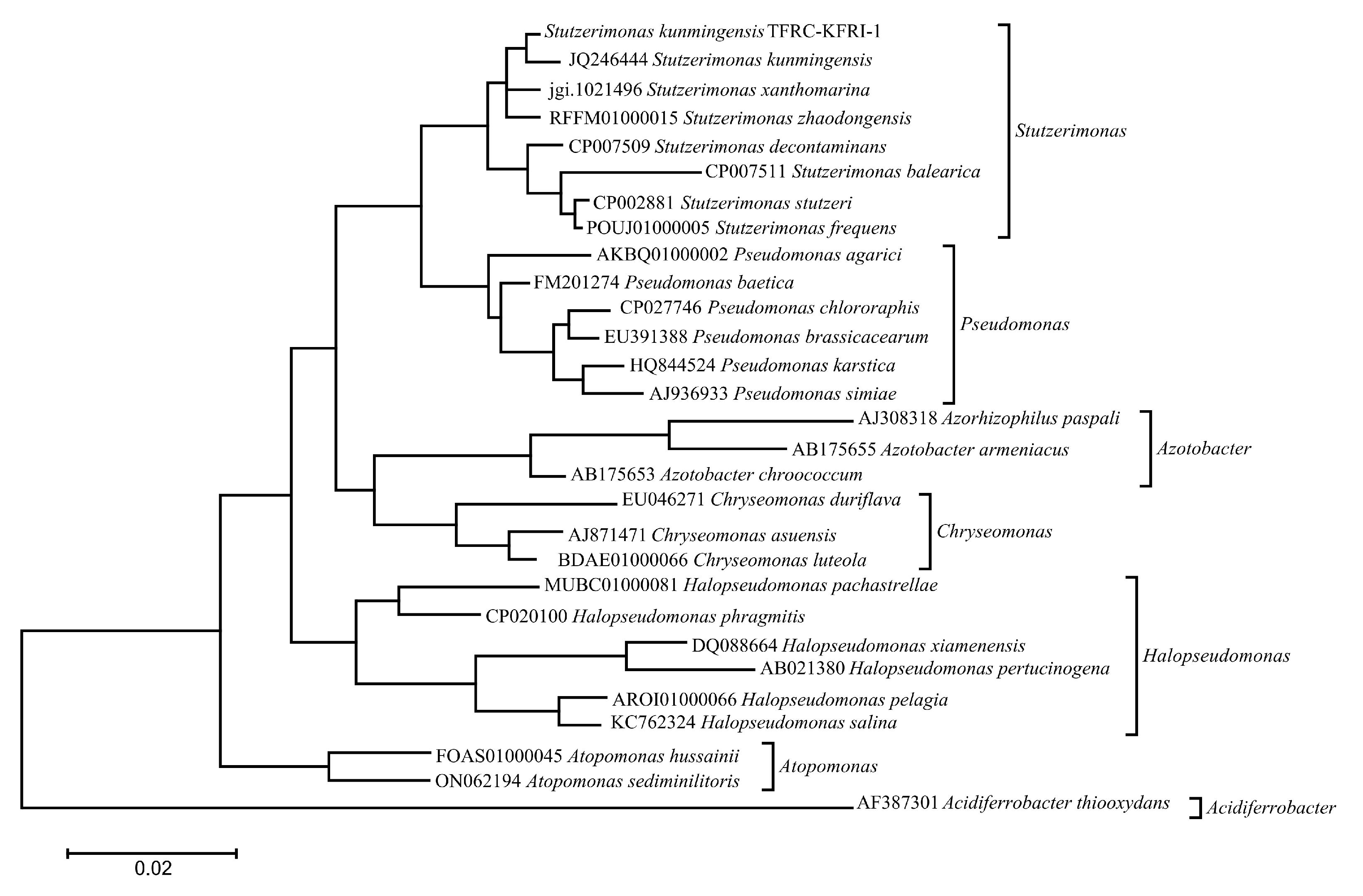 Microorganisms 12 02402 g003